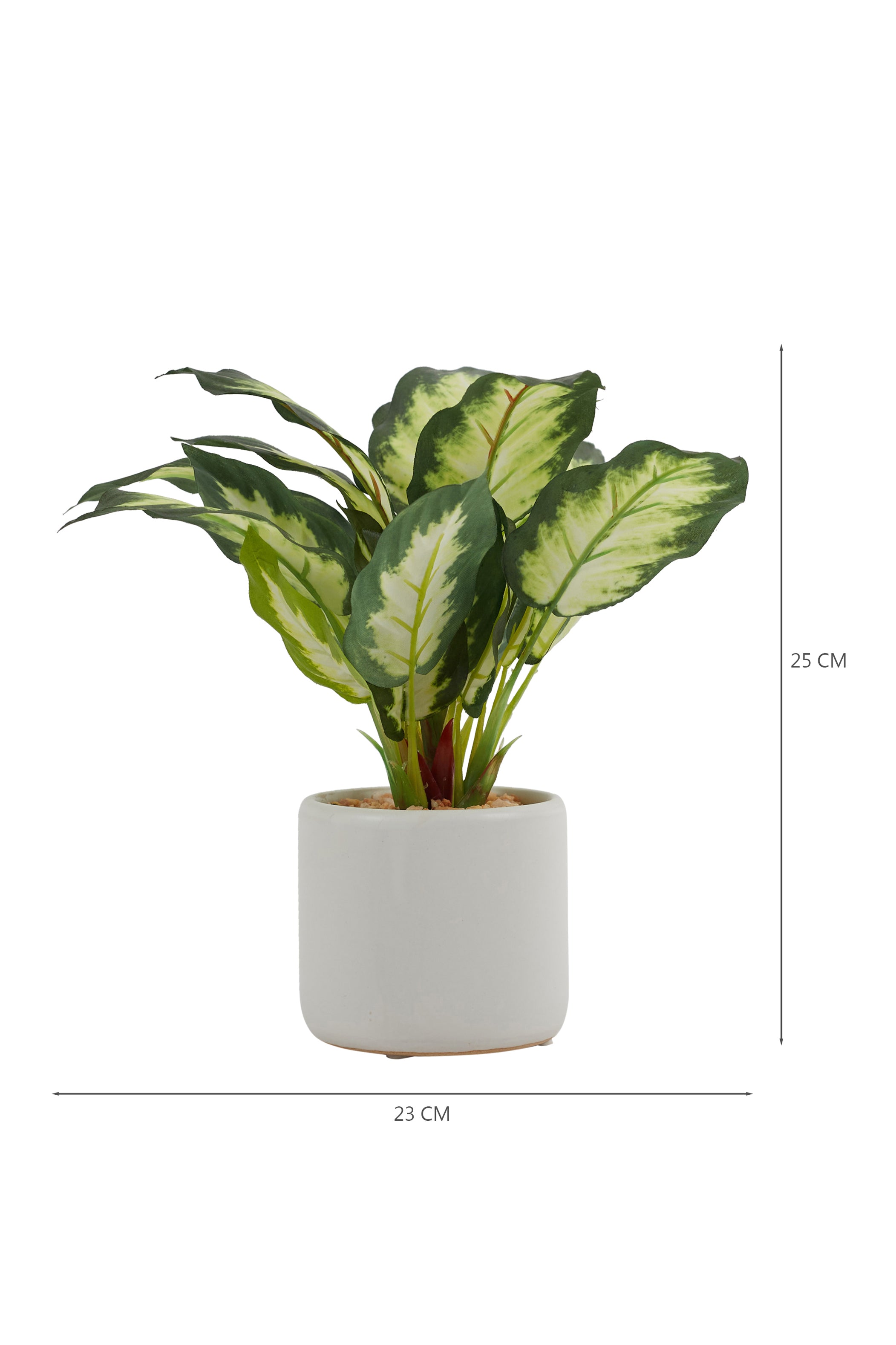 Ilana Faux Dieffnbchia 2 Ceramic Potted Plant 25 Cm in Green Colour