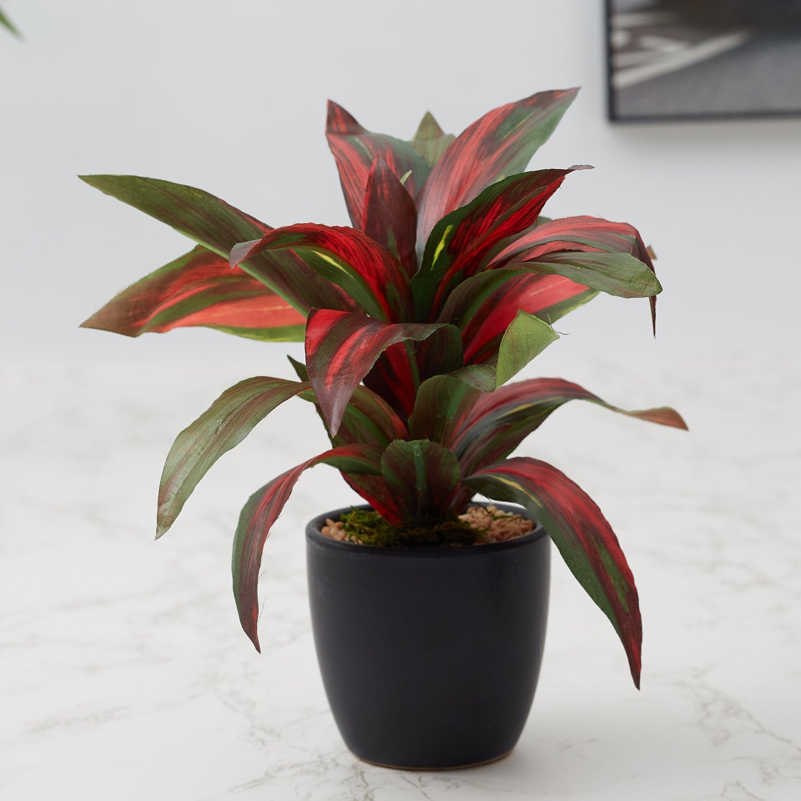 Ilana Faux Dracaena Ceramic Potted Plant 21 Cm in Green Colour