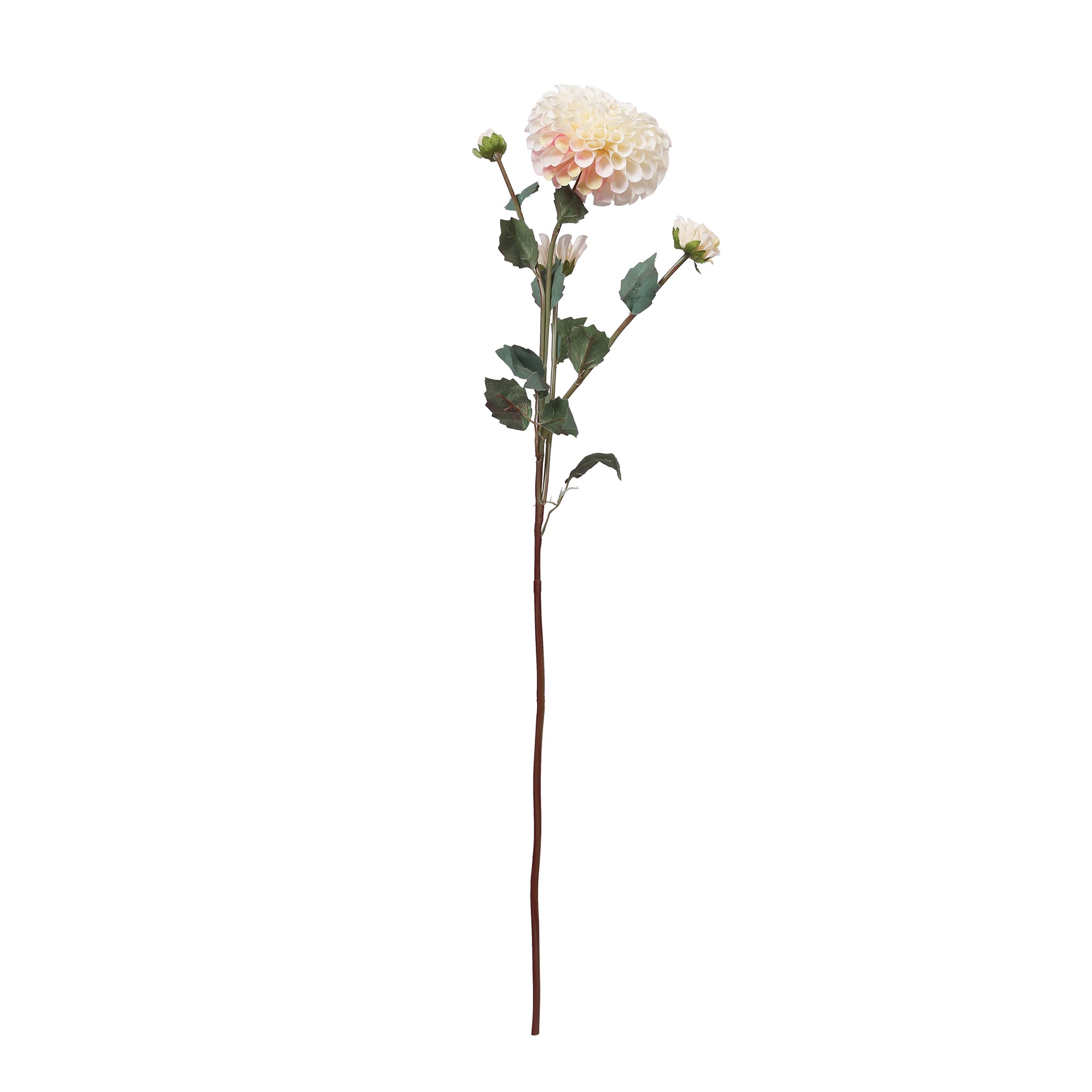 Blume Artificial Flower Dahlia Stem 78cm in White Colour By Living Essence