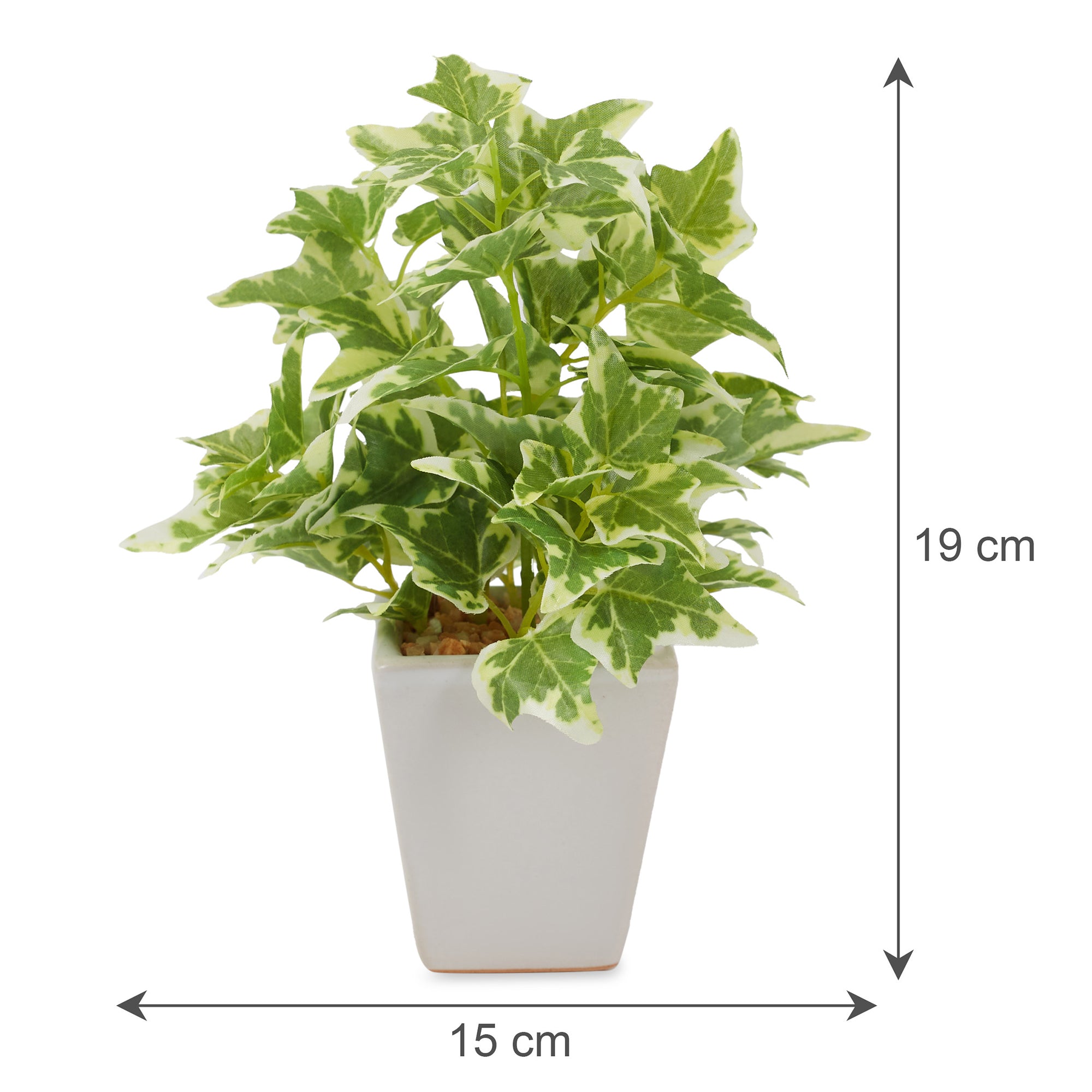 Ilana Faux Holland Ivy Ceramic Potted Plant 19 Cm in Green Colour