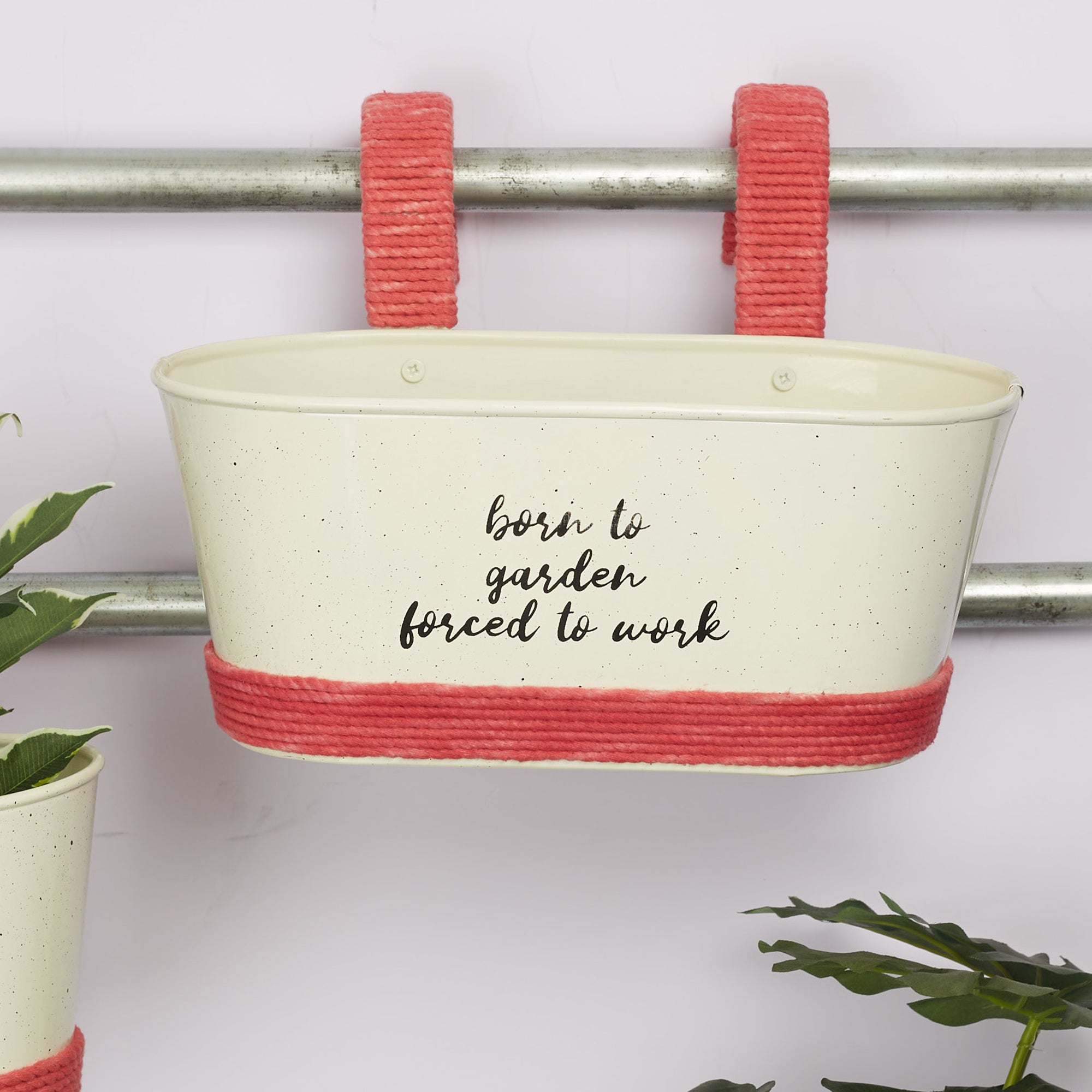 Pep Pop Metal Funky Quote Railing Planter 28X19Cm in Off White & Fuchsia Colour