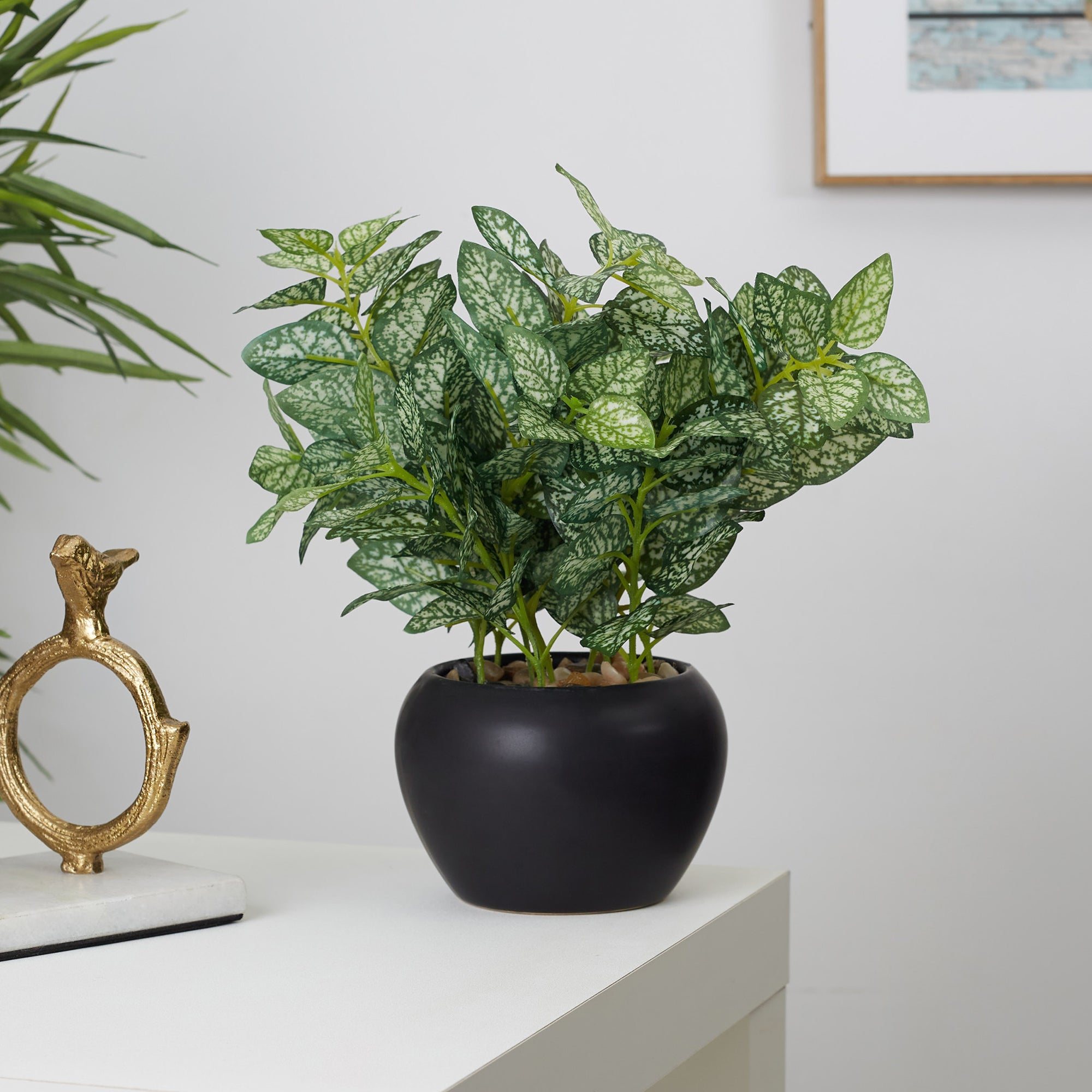 Ilana Faux Hypoestes Ceramic Potted Plant 27 Cm in Green Colour