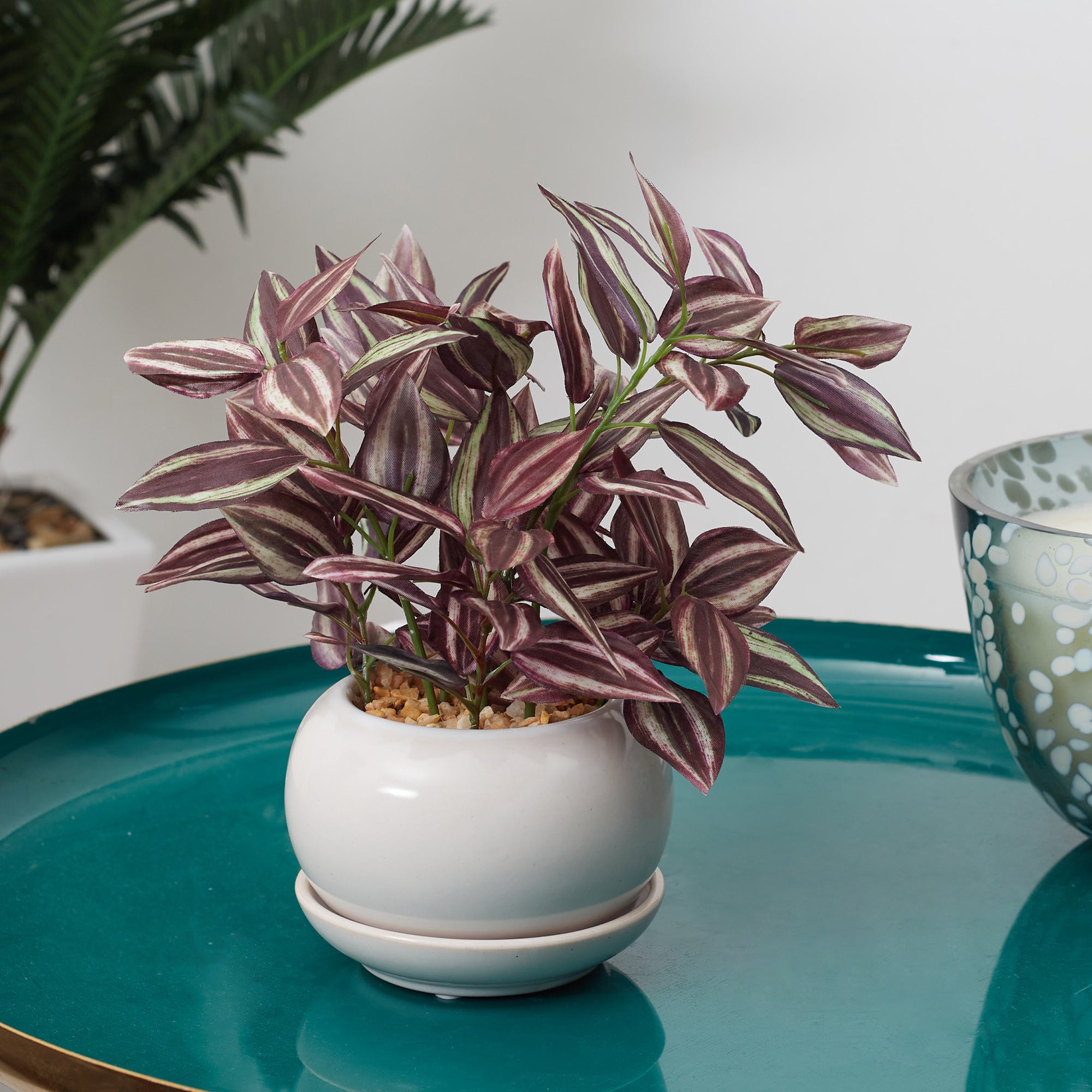 Ilana  Faux Wandering Jew Ceramic Potted Plant 24 Cm in Green Colour