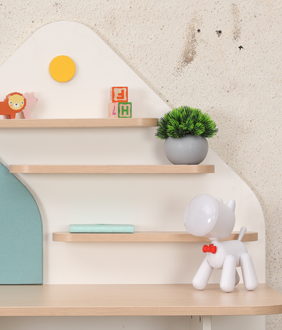 Spaceship  Twin Seater Spacious Study Desk with Drawer and Pin-up Board in Multi Colour