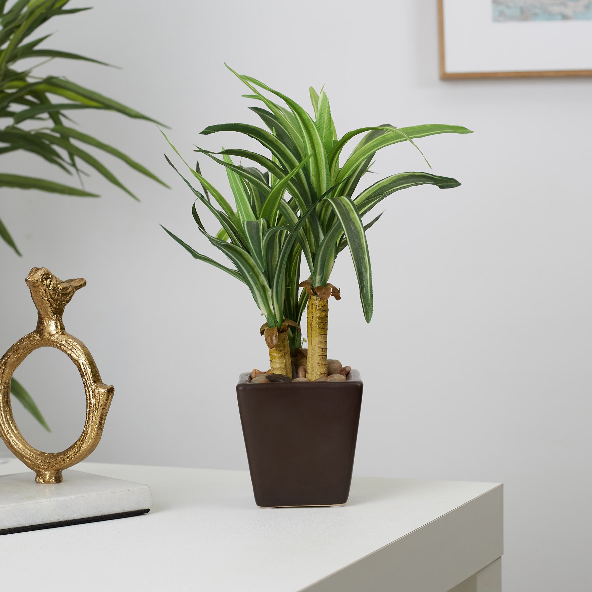 Ilana Faux Mini Dracaena 2 Ceramic Potted Plant 24 Cm in Green Colour