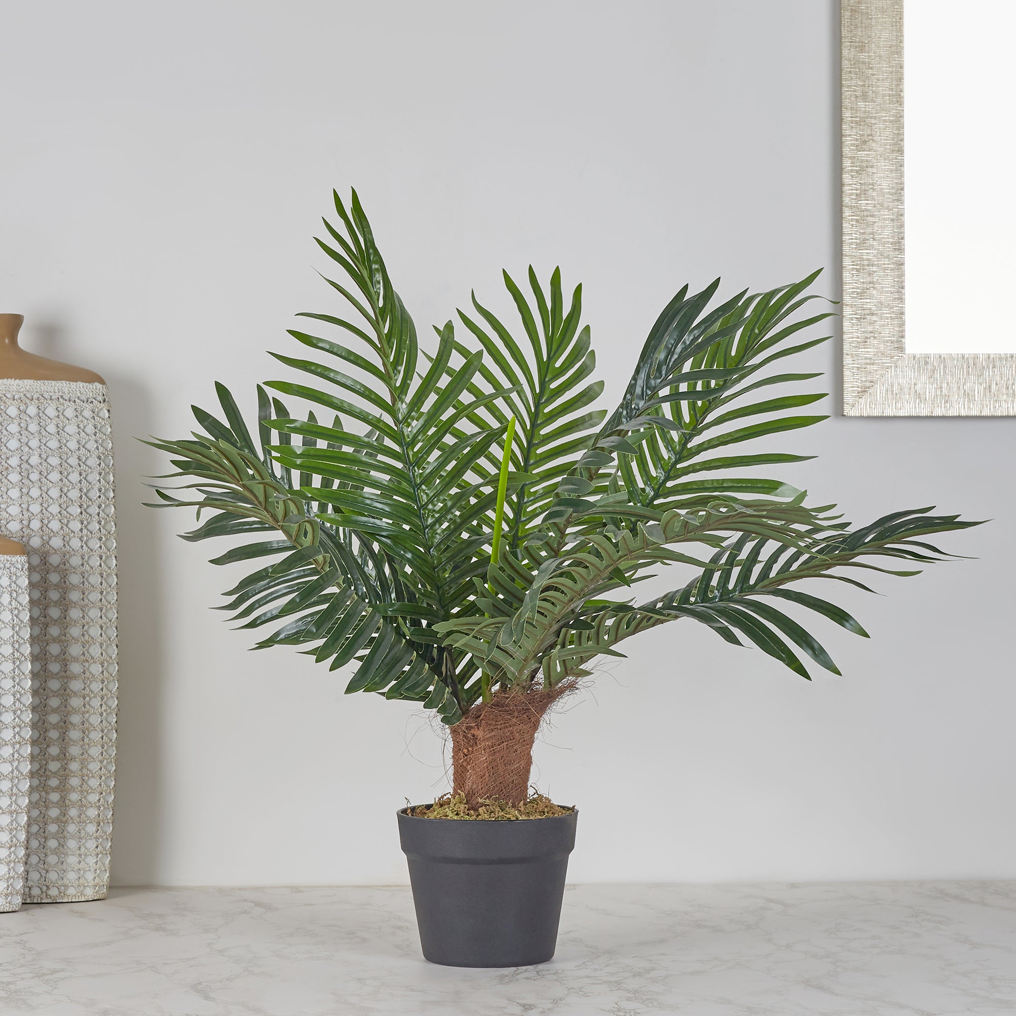 Ilana Artificial Palm Potted Tree 60Cm in Green Colour