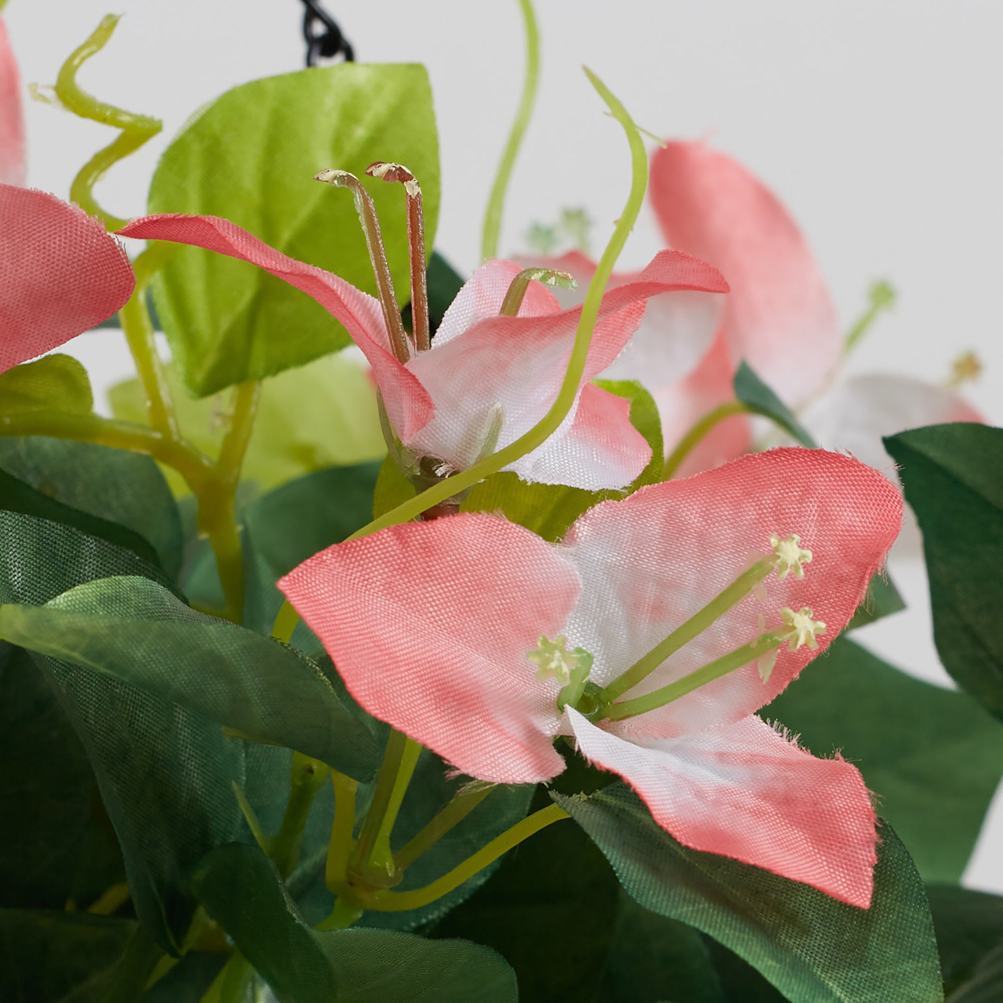 Ilana Faux Hanging Bougainvillea With Pot 54 Cm in Pink Colour