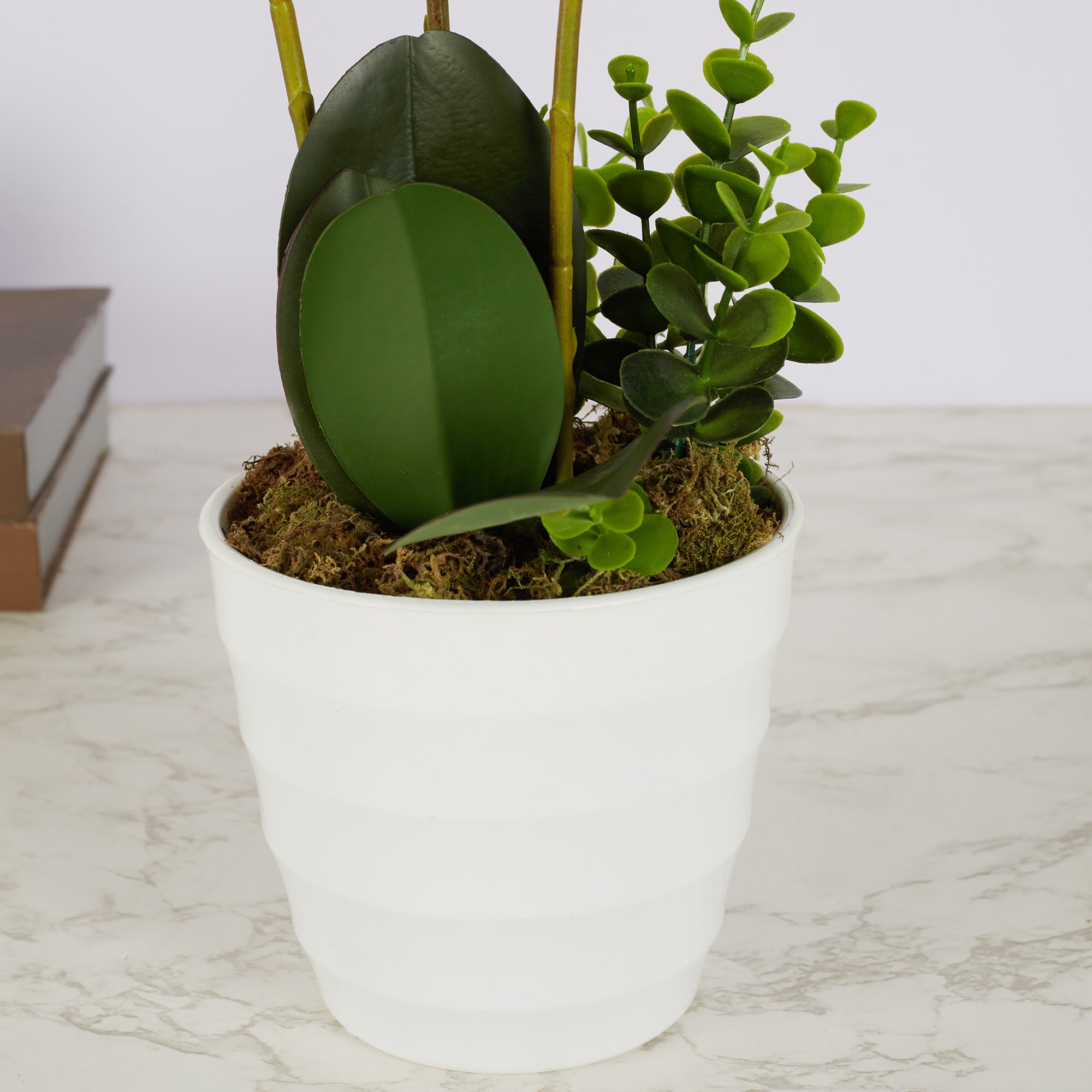 Ilana Artificial Orchid Potted Plant 60Cm in White Colour