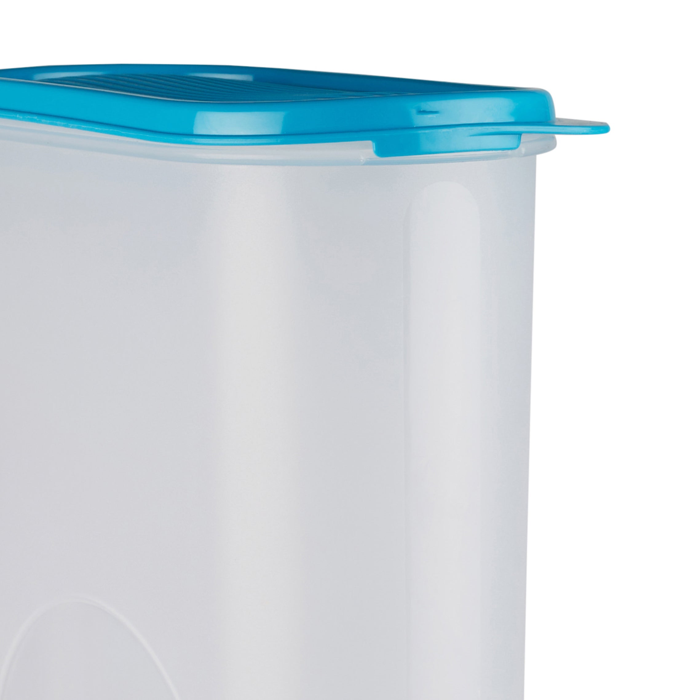 Fiesta 100% BPA-Free Plastic Oval Container Set of 2 (2600ml) in Teal & Transparent Colour