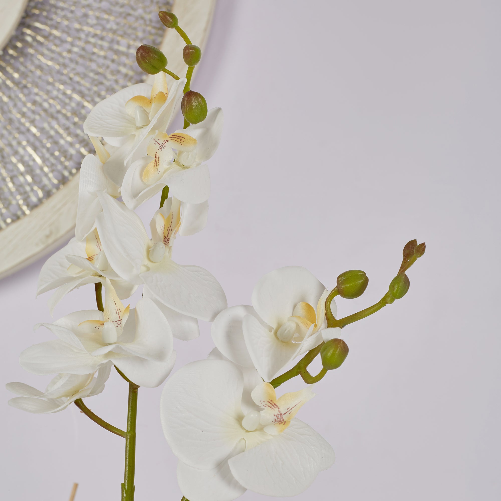 Ilana Artificial Orchid Potted Plant 40Cm in White Colour