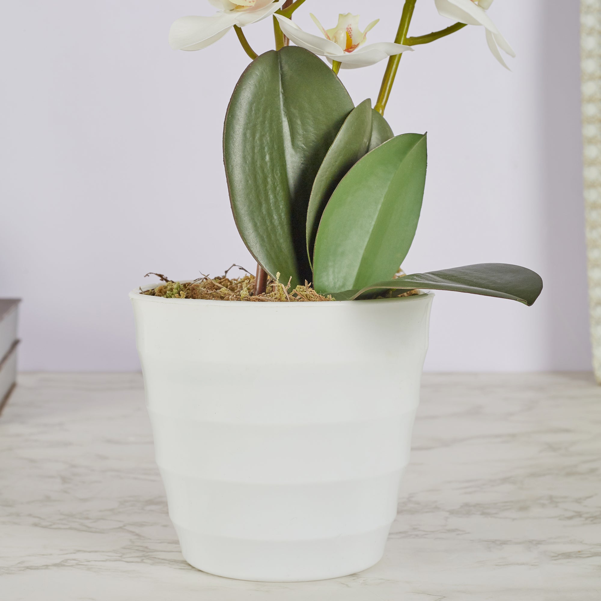 Ilana Artificial Orchid Potted Plant 45Cm in White Colour