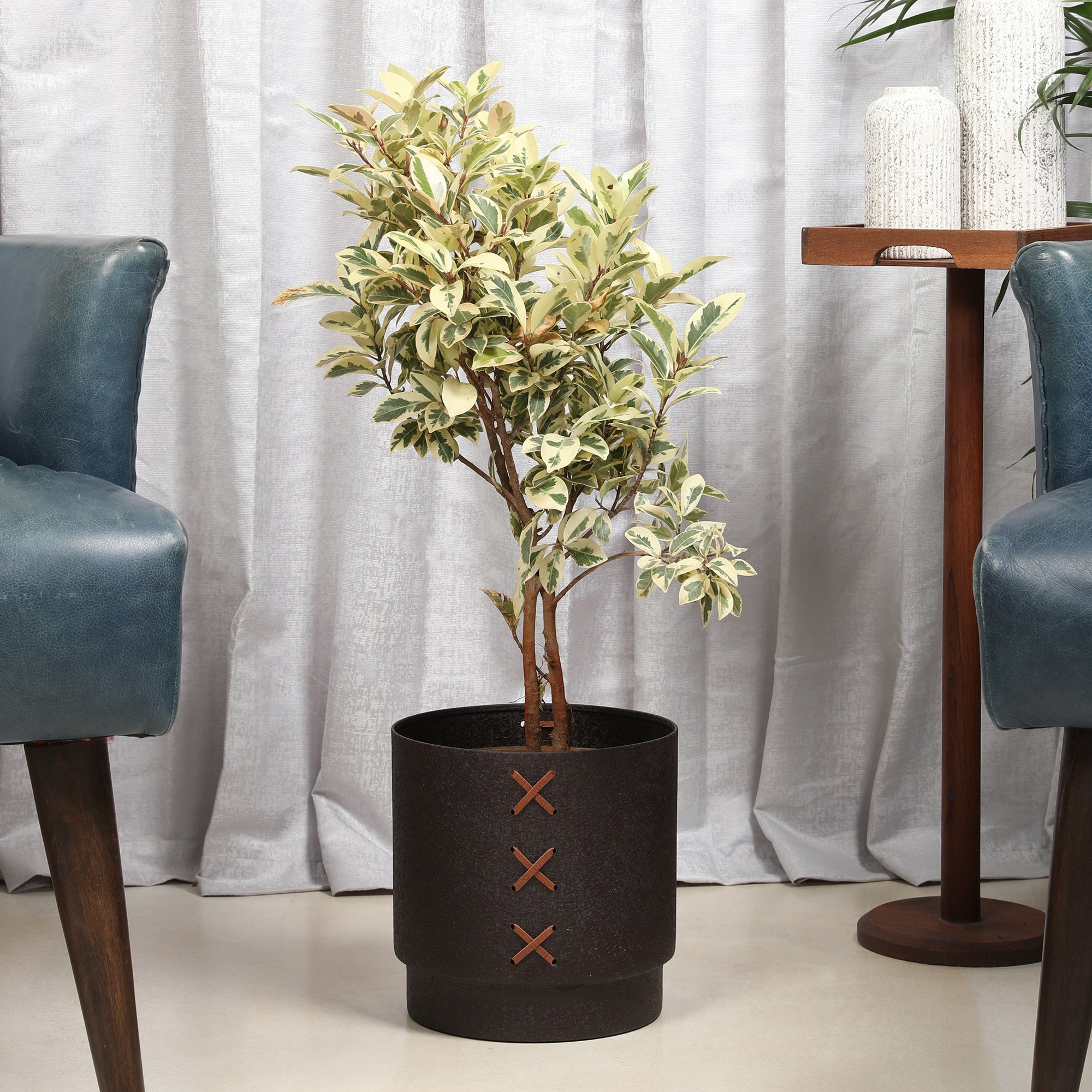 Cosmos Metal Planter 22 cm in Brown Colour