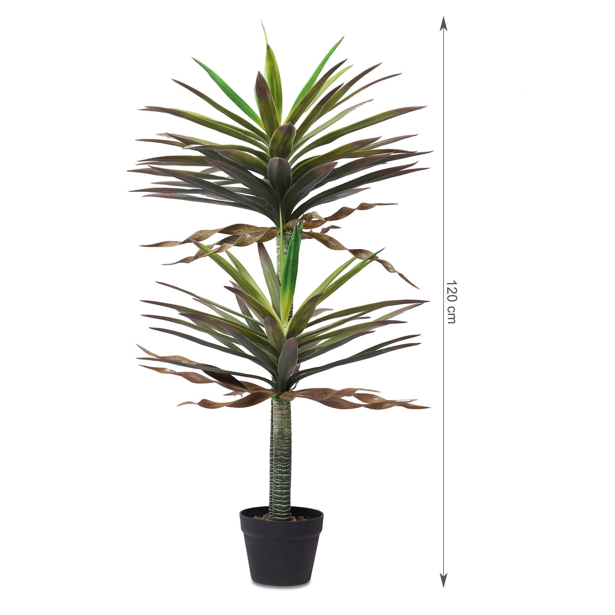 Blume Artificial Potted Plant Tall Succulent 120cm in Green Colour By Living Essence