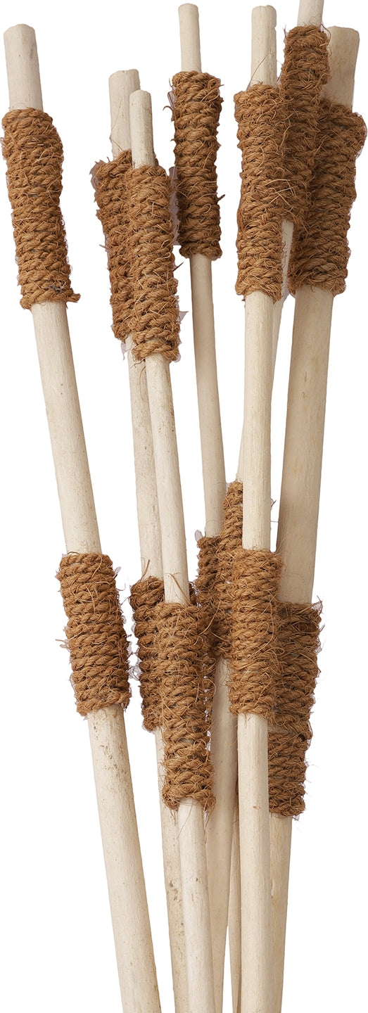 Wicker Dry Jutestick With Rope Bunch in White Colour