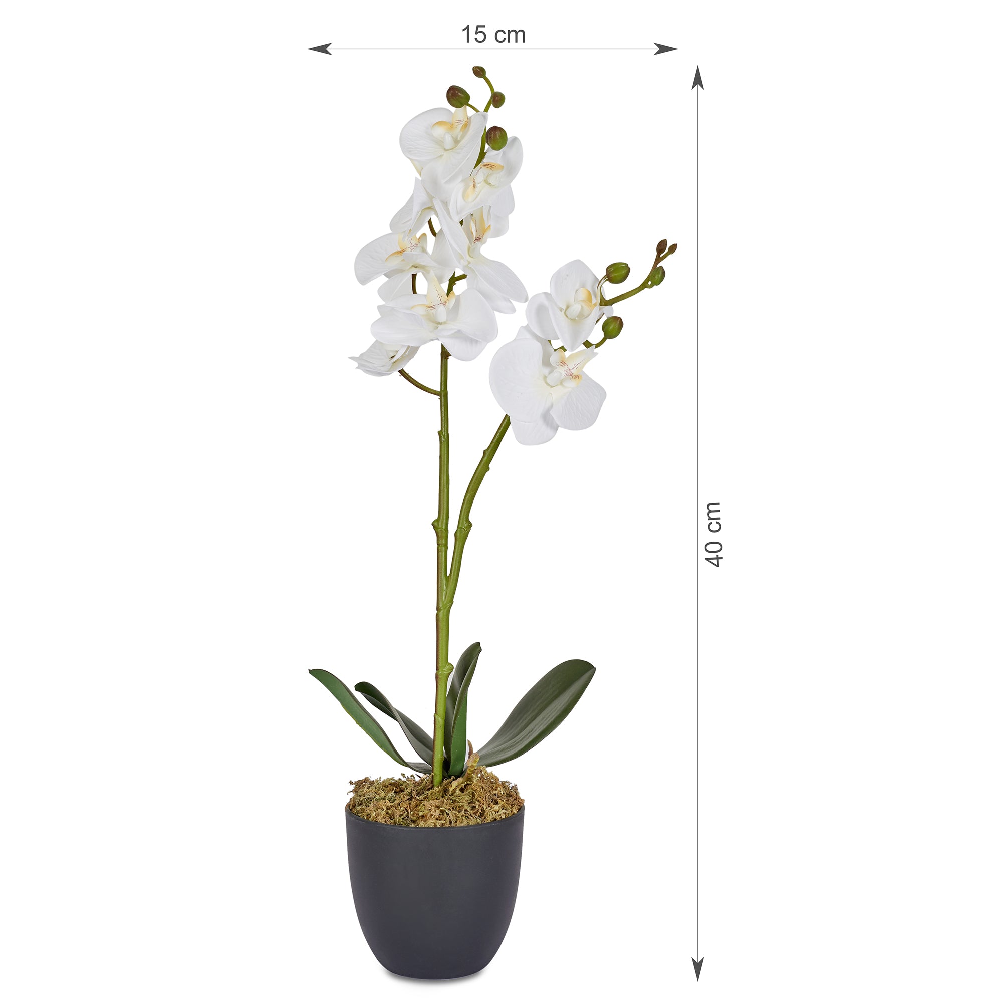 Ilana Artificial Orchid Potted Plant 40Cm in White Colour