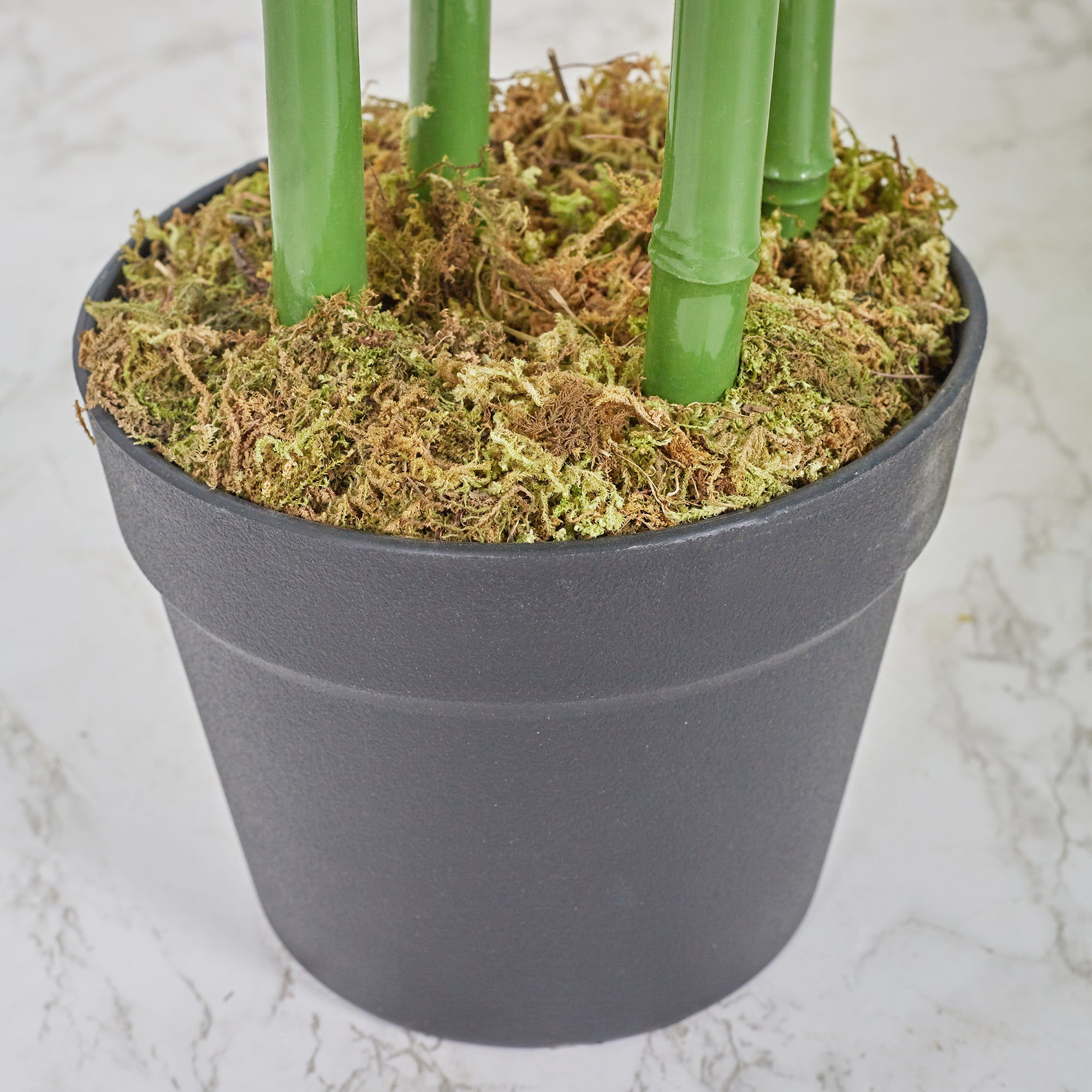 Ilana Artificial Bamboo Potted Tree 160Cm in Green Colour