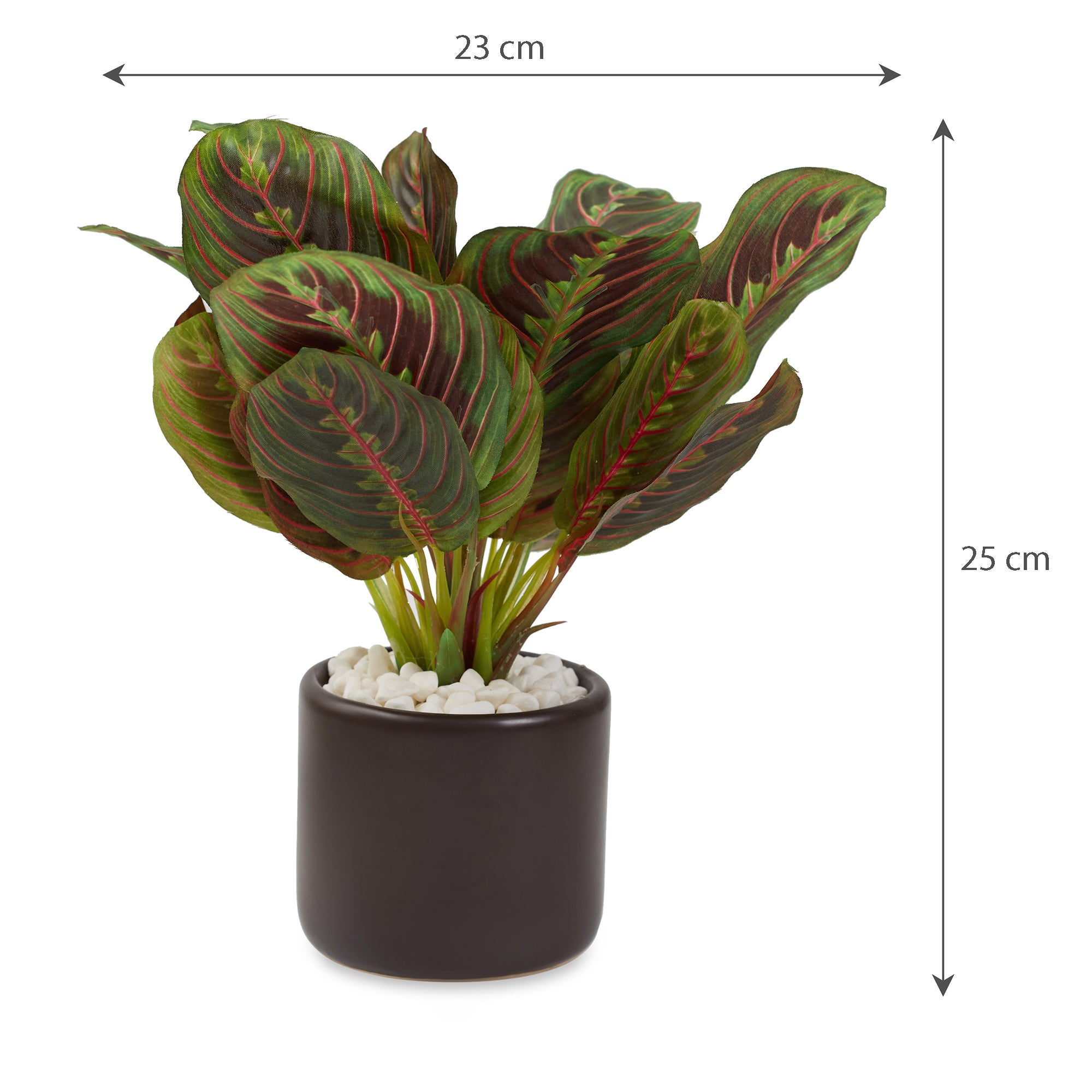Ilana Faux Maranta Ceramic Potted Plant 25 Cm in Green Colour