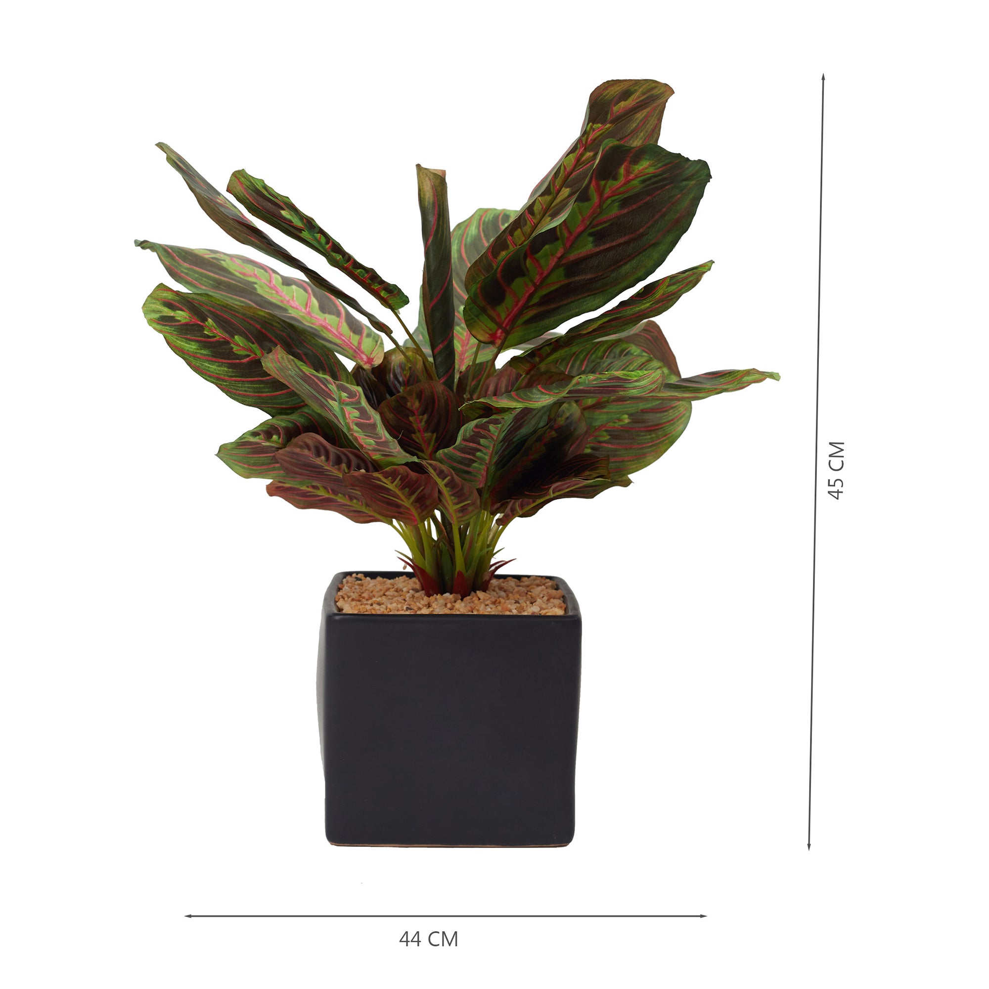 Ilana Faux Maranta Ceramic Potted Plant 45 Cm in Green Colour