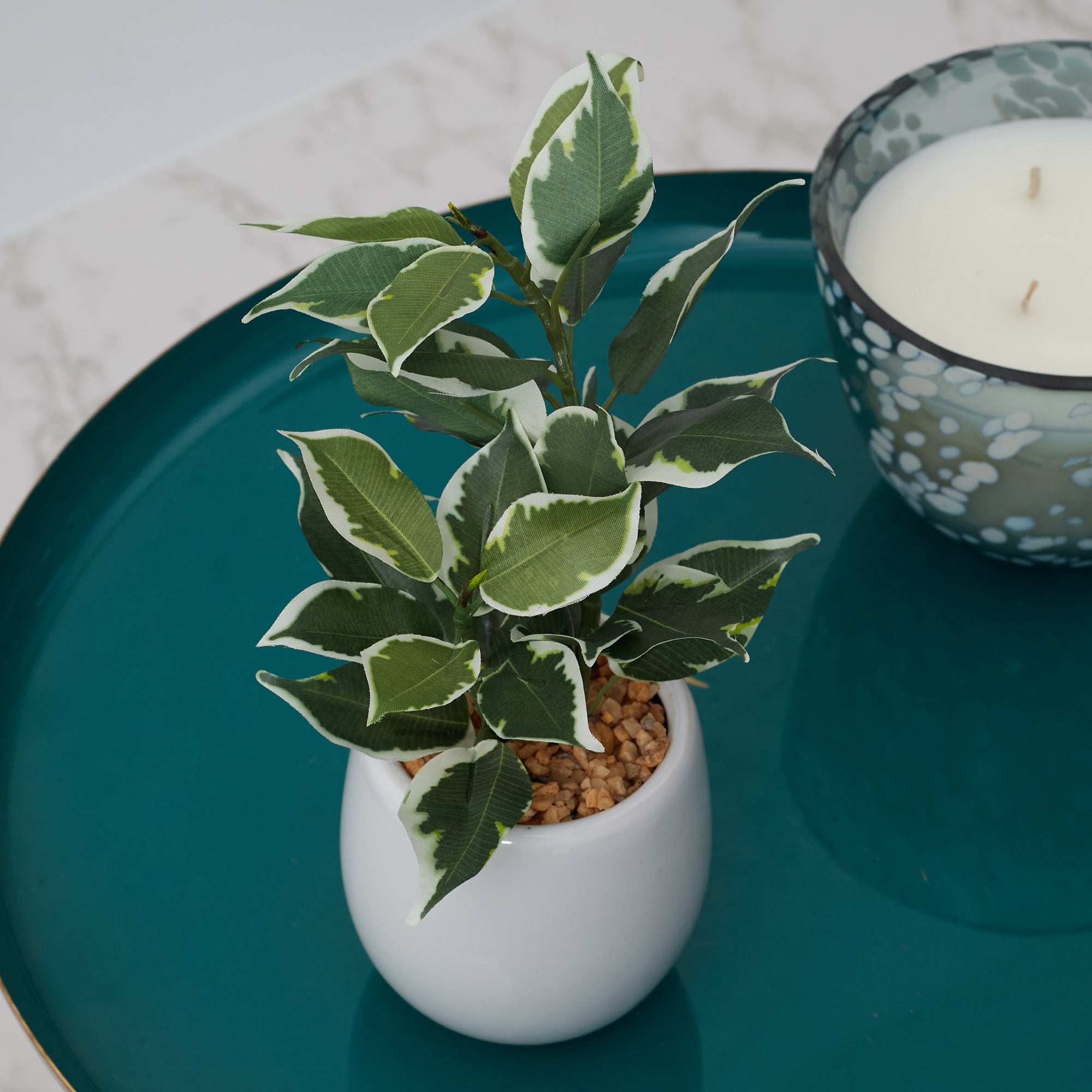 Ilana Faux Quercus Ceramic Potted Plant 23 Cm in Green Colour