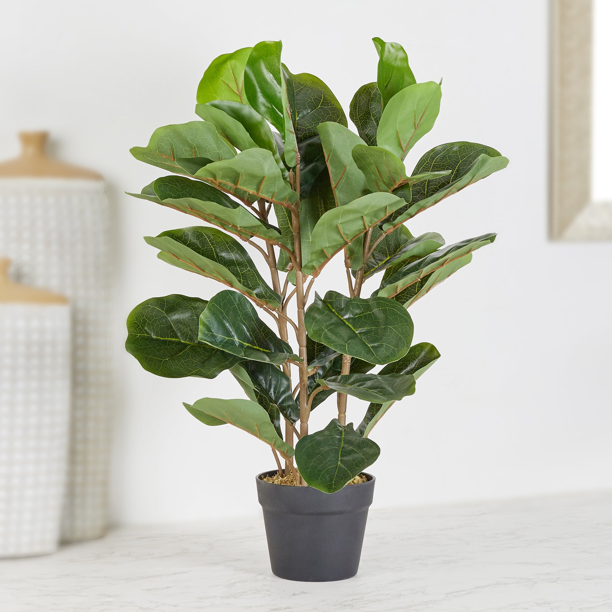 Ilana  Artificial Fiddle Potted Plant 70Cm in Green Colour