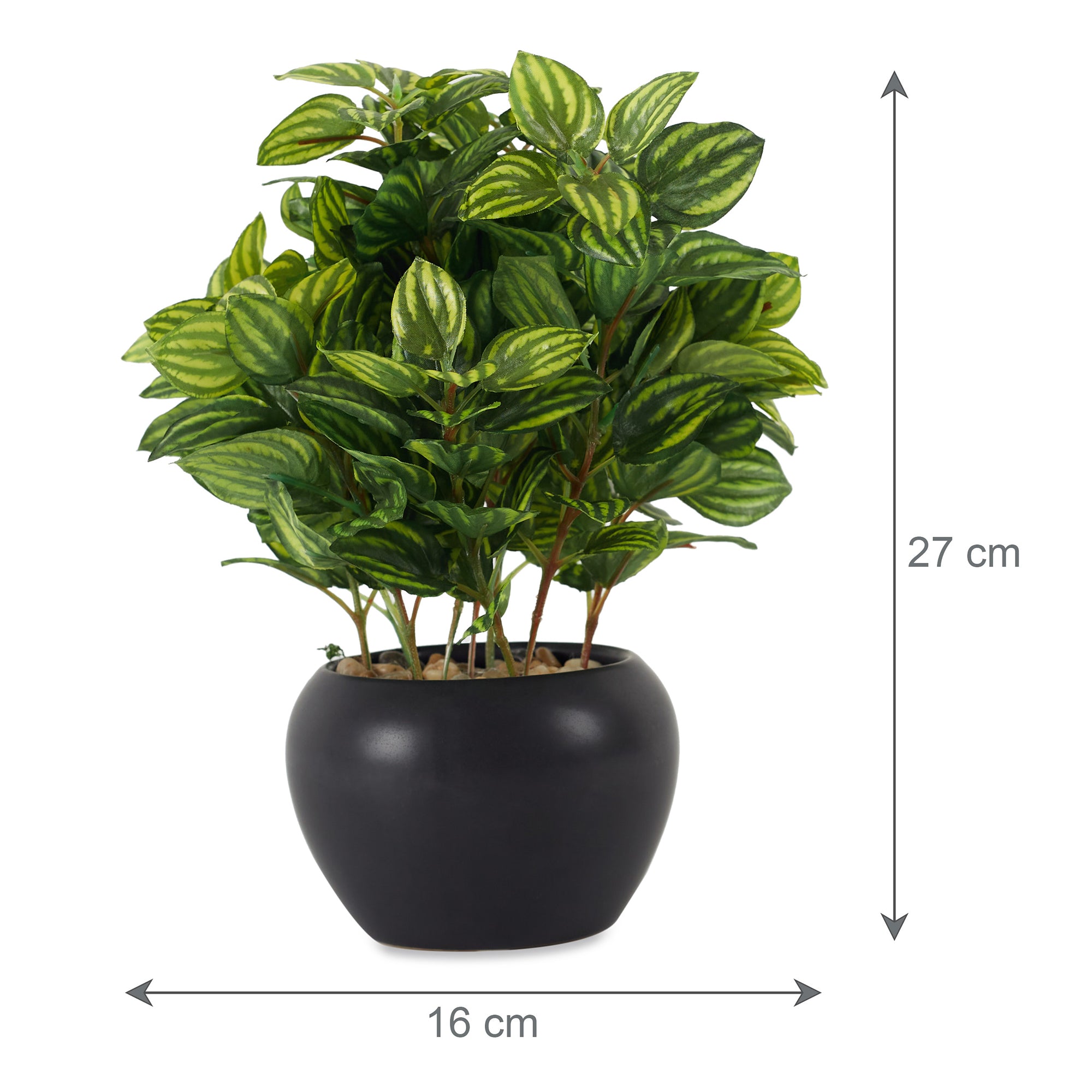 Ilana  Faux Peperomia Ceramic Potted Plant 27 Cm in Green Colour
