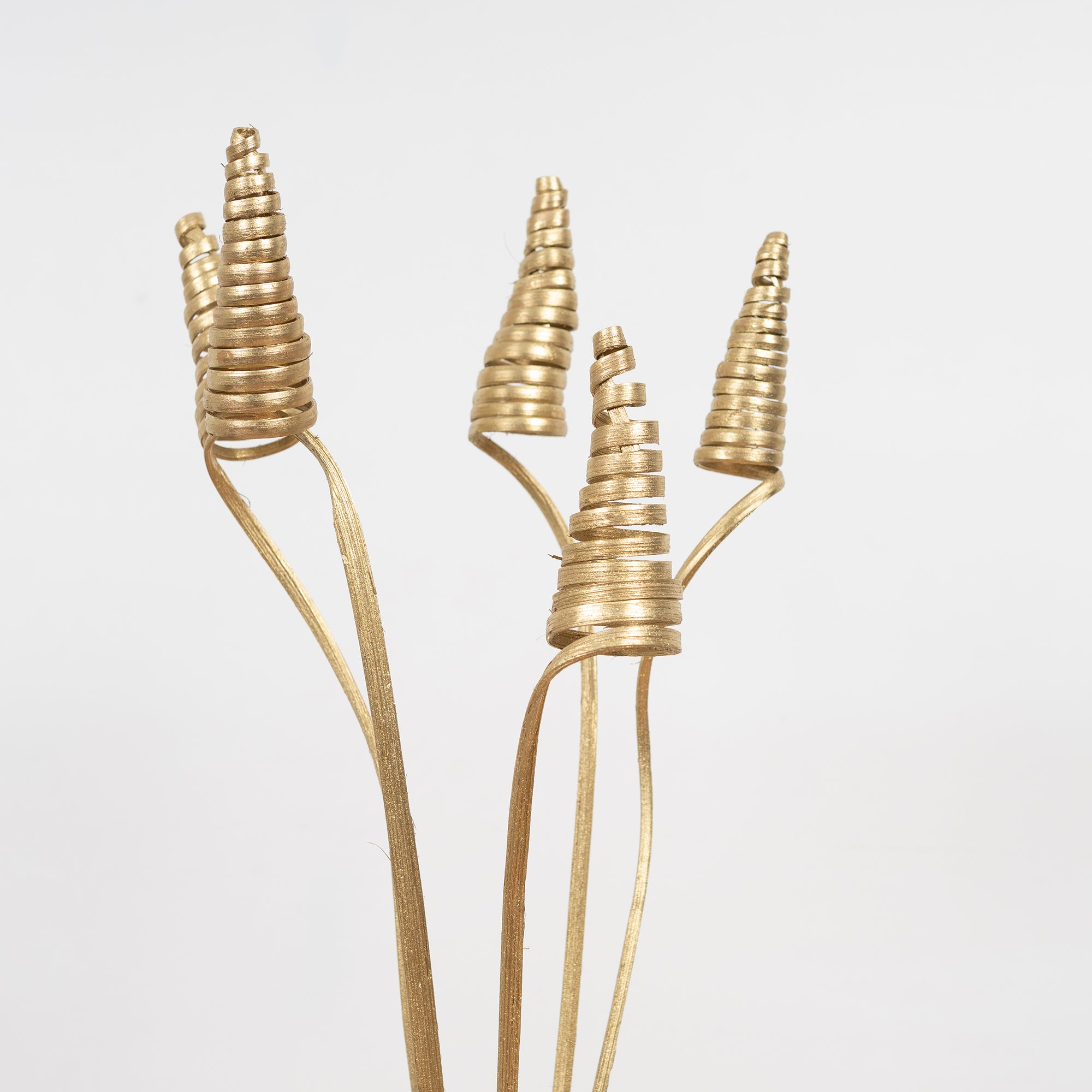 Fleur Dried Jumbo Cone Sticks 70Cm in Gold Colour