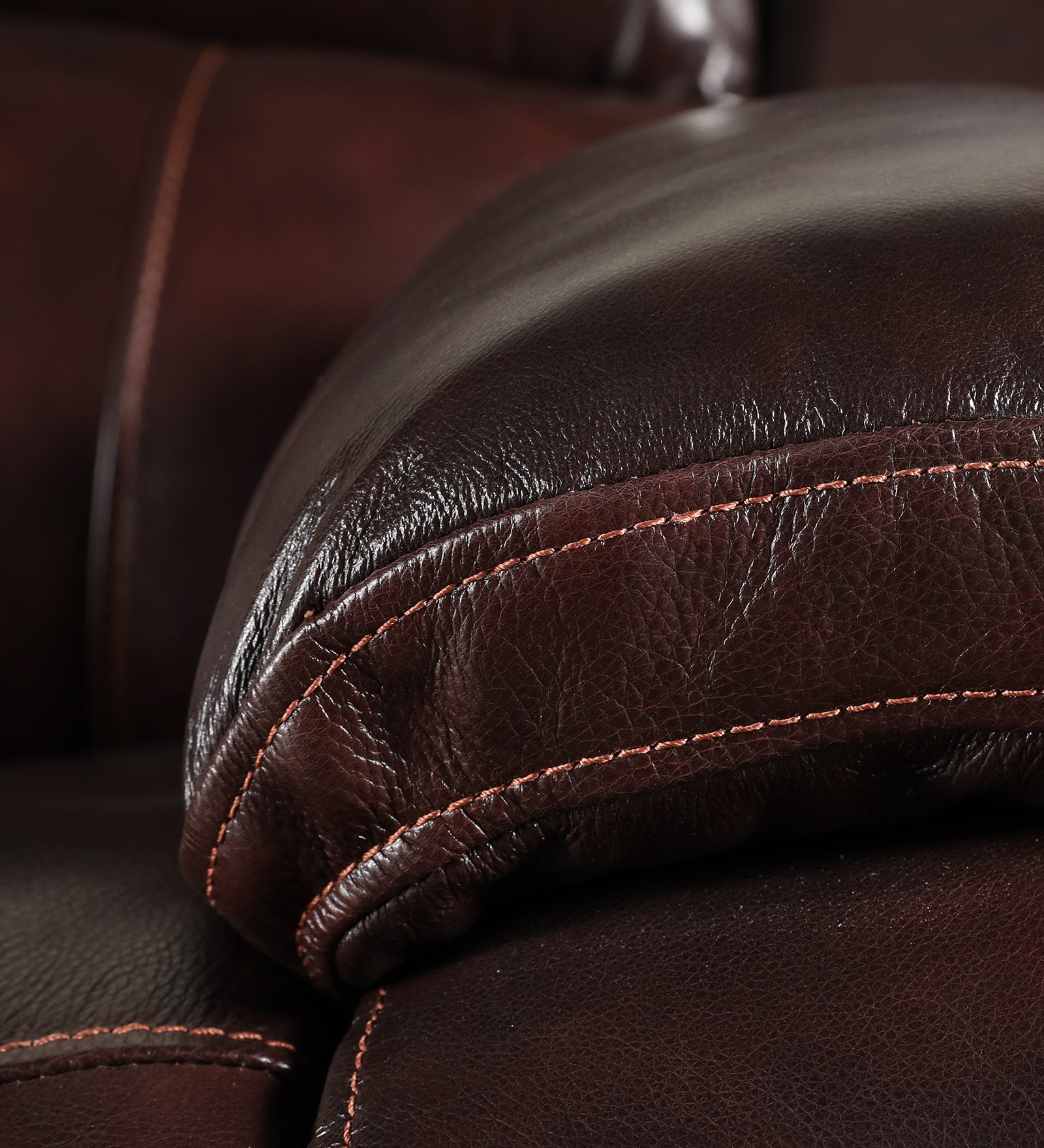 Rhine Half Leather Two Seater Electric Recliner in Brown Colour