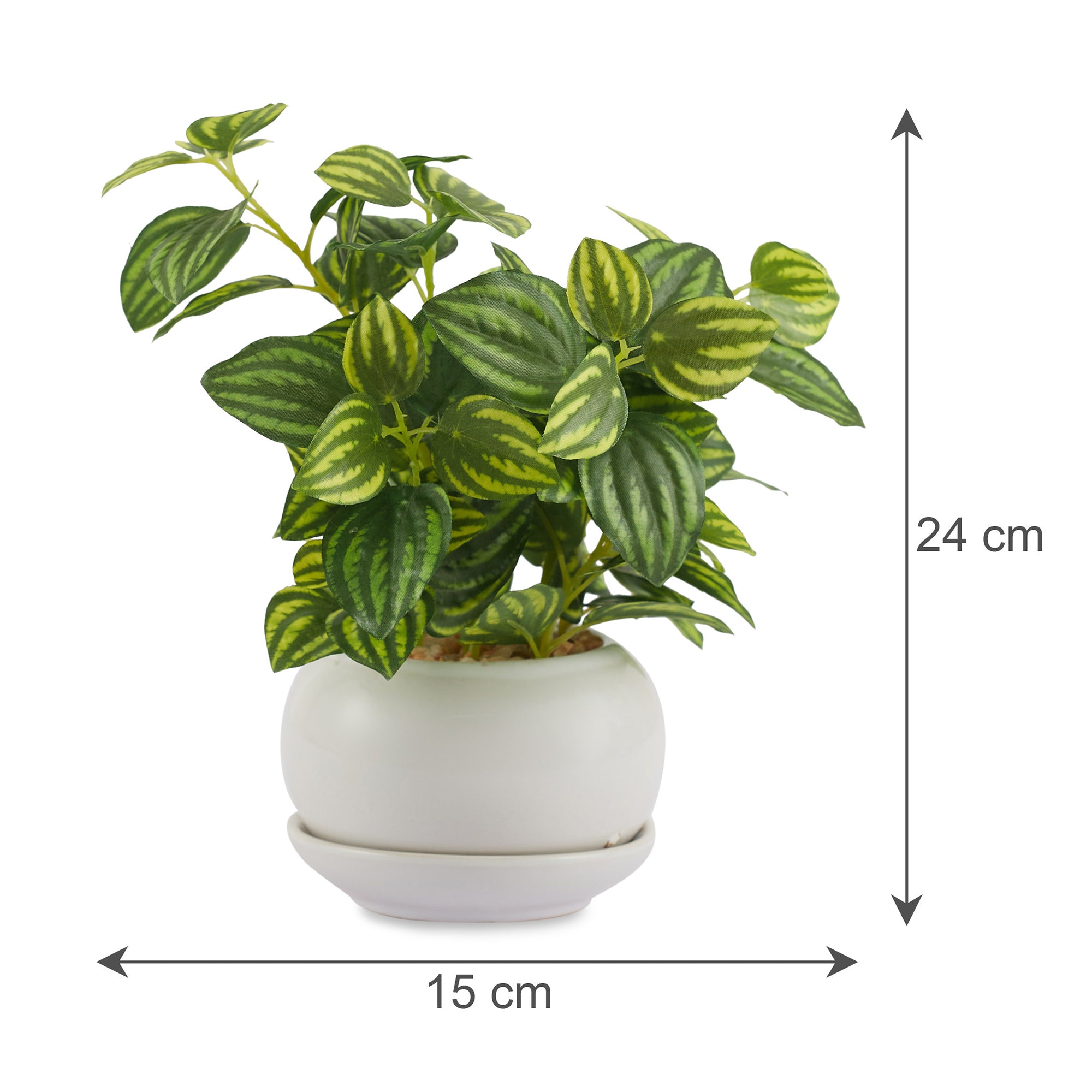 Ilana Faux Peperomia Ceramic Potted Plant 24 Cm in Green Colour