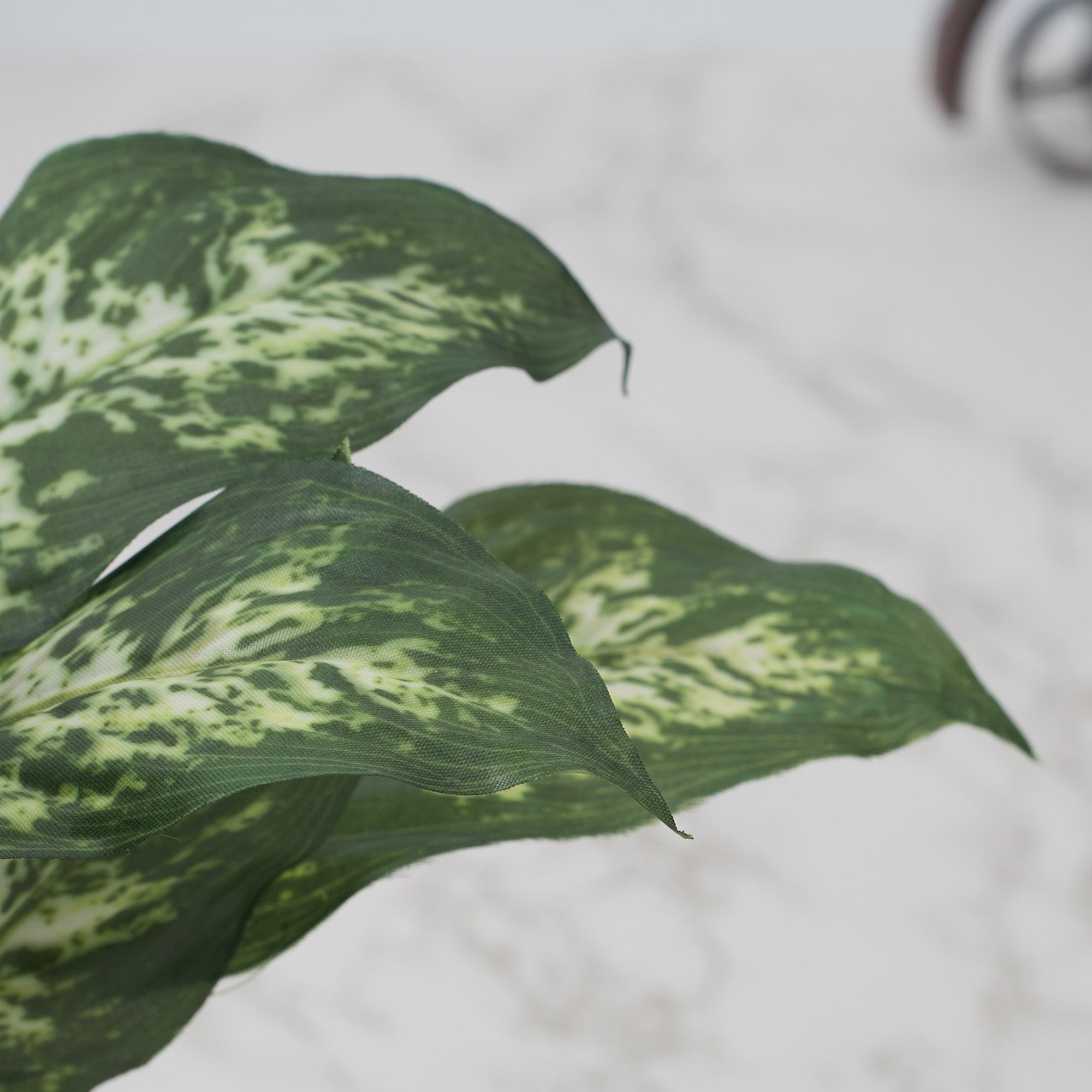 Ilana  Faux Dieffnbchia 1 Ceramic Potted Plant 25 Cm in Green Colour