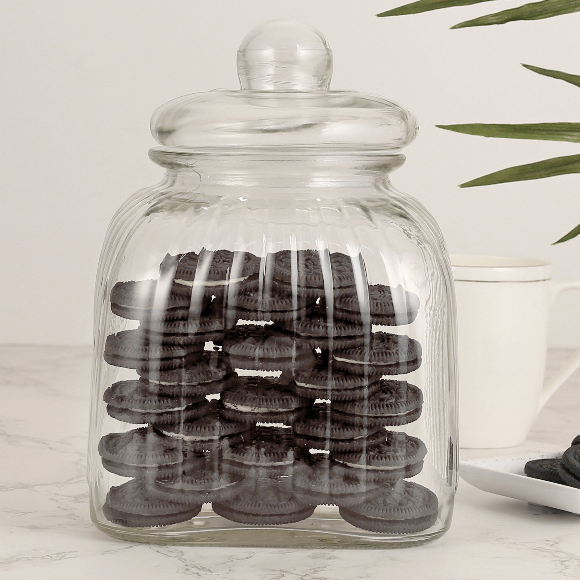 Robust Glass Jar 3000 ml with Lid in Transparent Colour