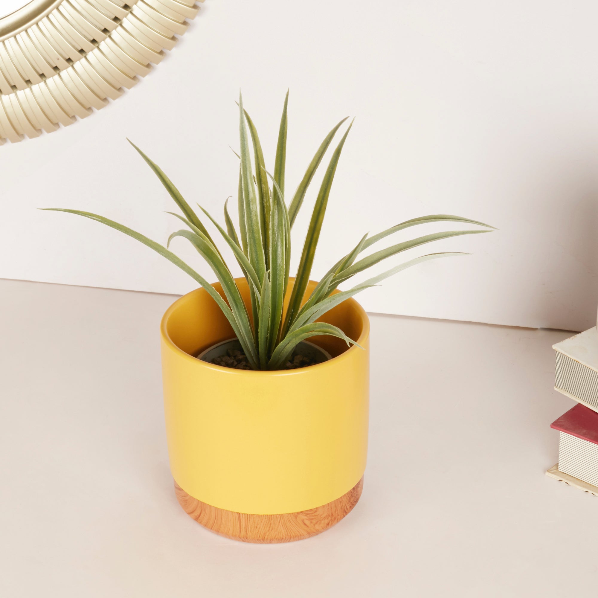 Alura Milan Ceramic Planter 13Cm in Mustard Colour