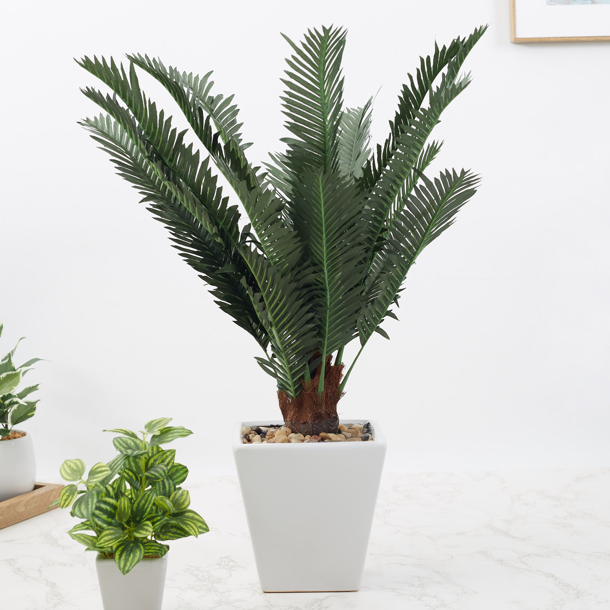 Ilana  Faux Cycas Ceramic Potted Plant 45 Cm in Green Colour
