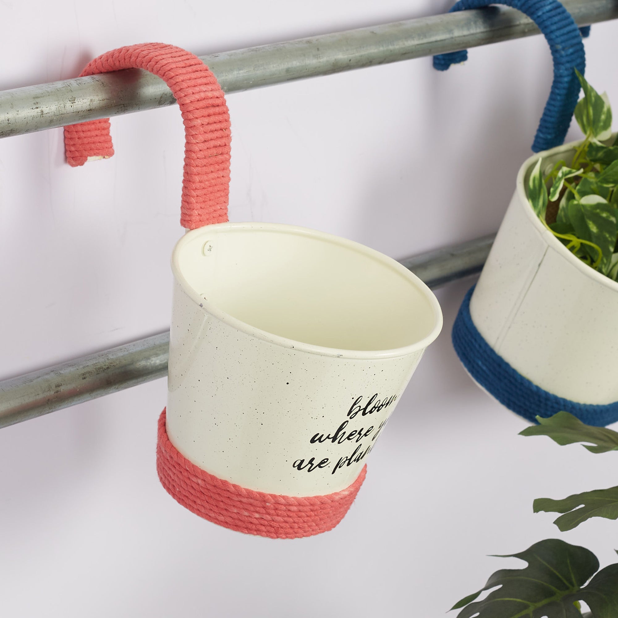 Pep Pop Metal Funky Quote Railing Planter 19Cm in Off White & Indigo Colour