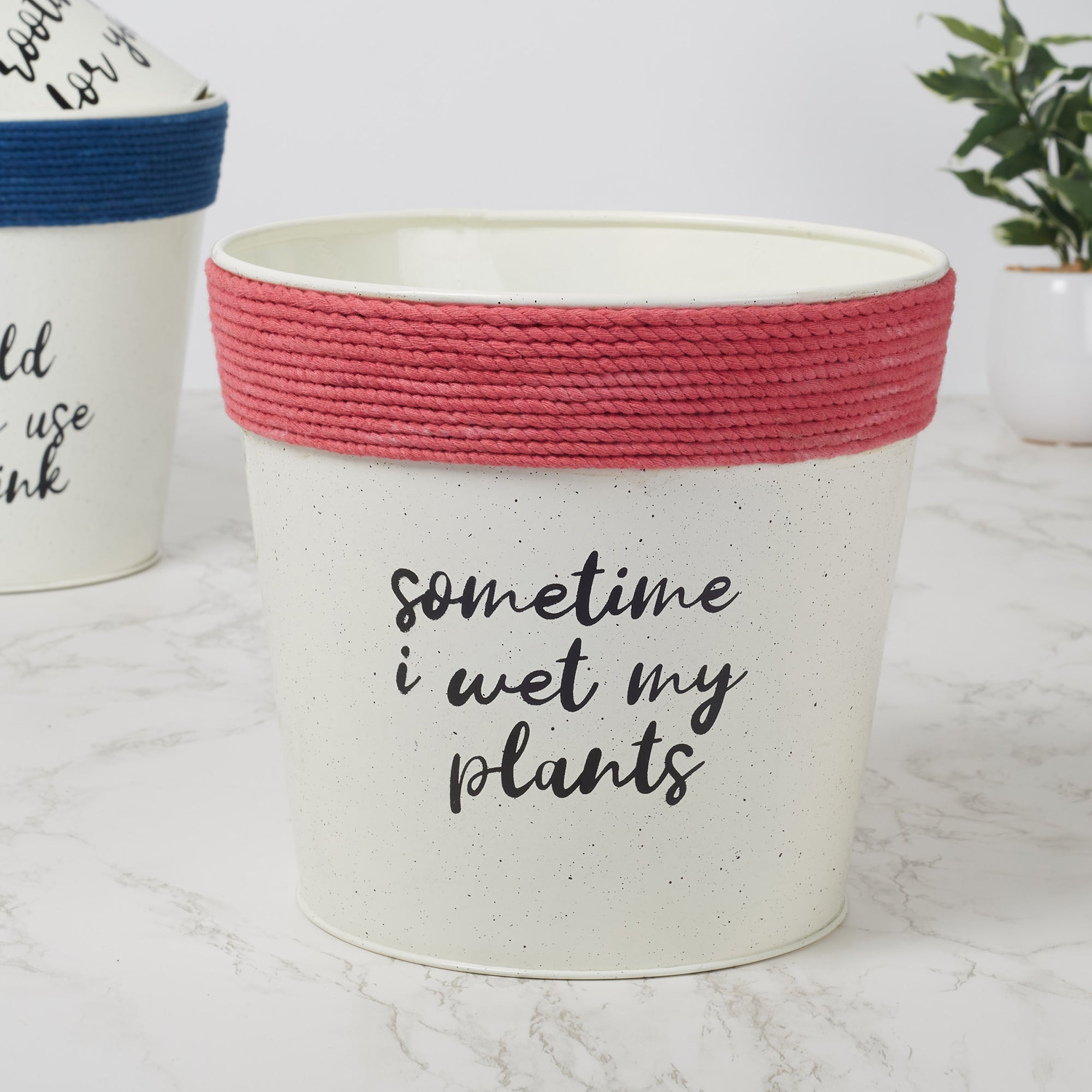 Pep Pop Metal Funky Quote Planter 19Cm in Off White & Fuchsia Colour