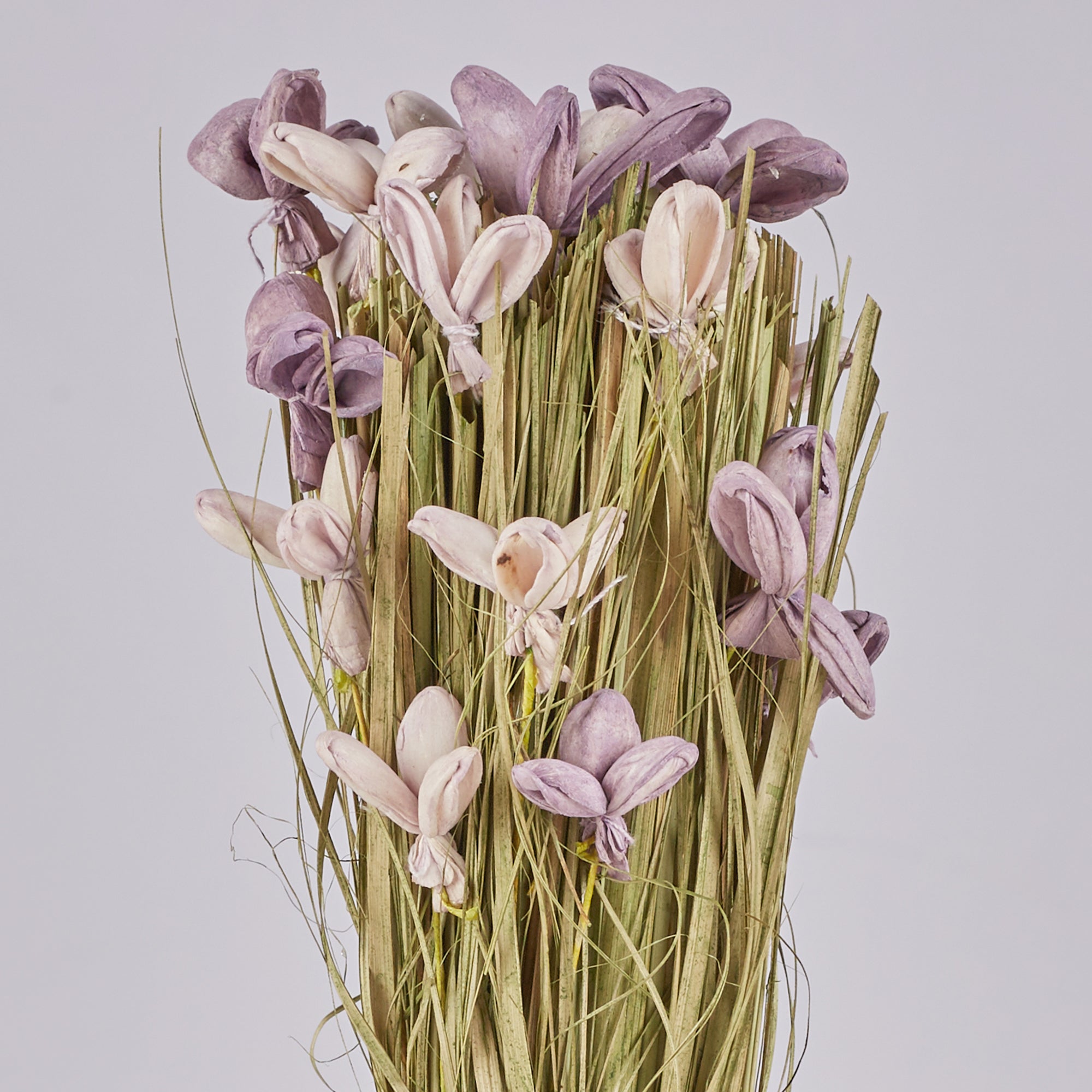 Fleur Dried Floral Arrangemet In Glass Jar 18 Cm in Purple Colour