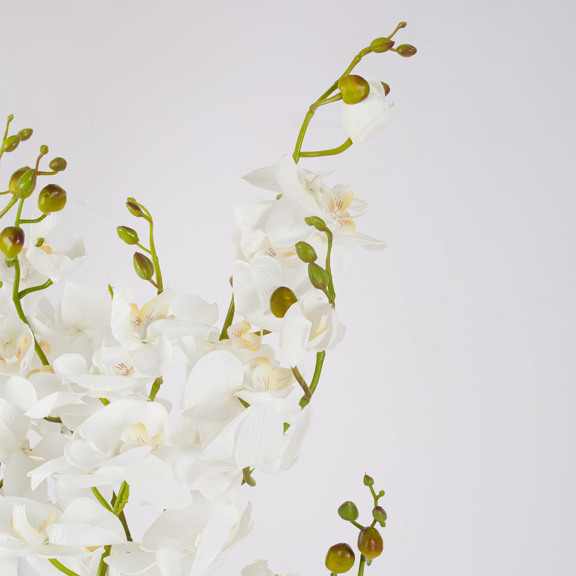 Ilana Artificial Orchid Potted Plant 75Cm in White Colour