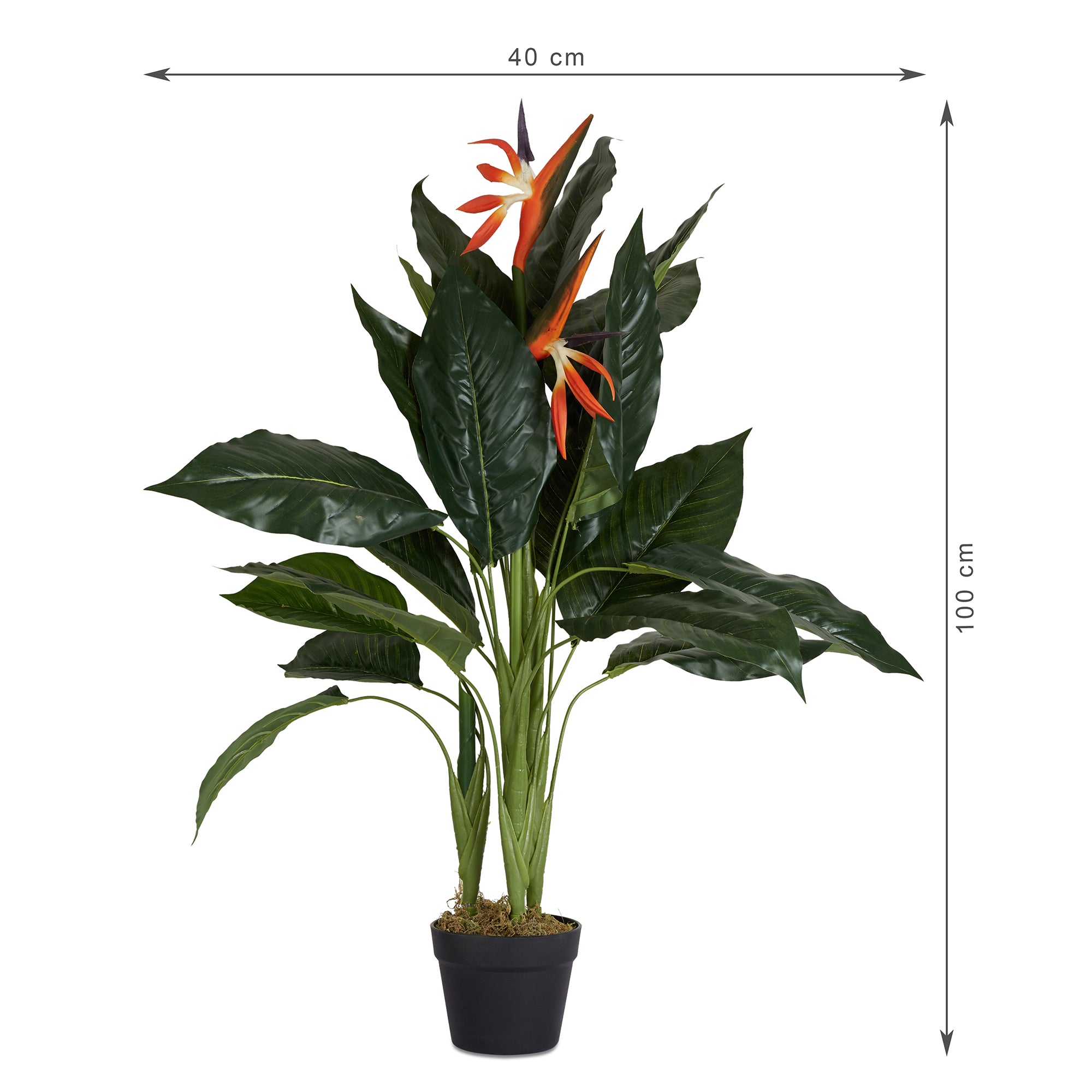 Ilana Artificial Paradise Bird Potted Plant 100Cm in Green Colour