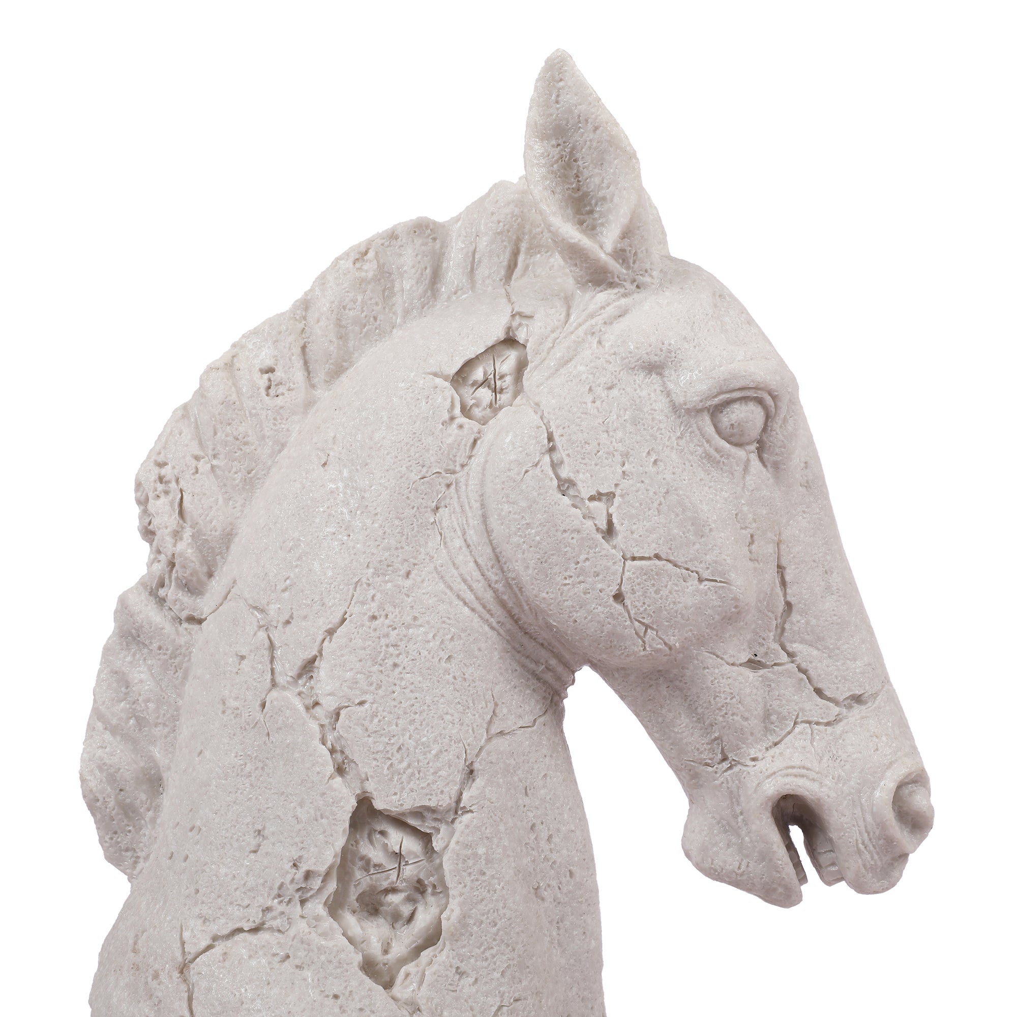 Miraya Horse Head Figurine White 39cm by Living Essence