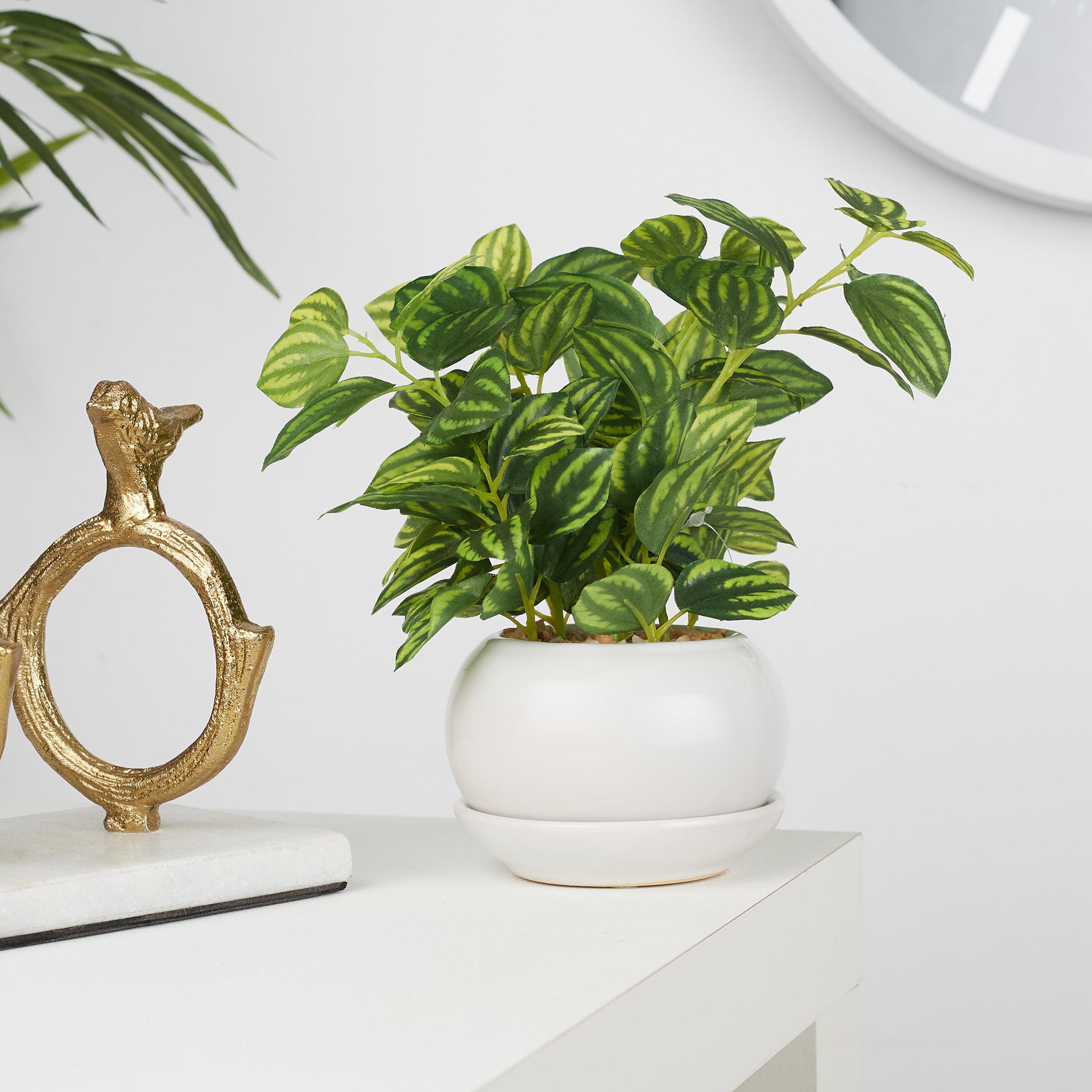 Ilana Faux Peperomia Ceramic Potted Plant 24 Cm in Green Colour
