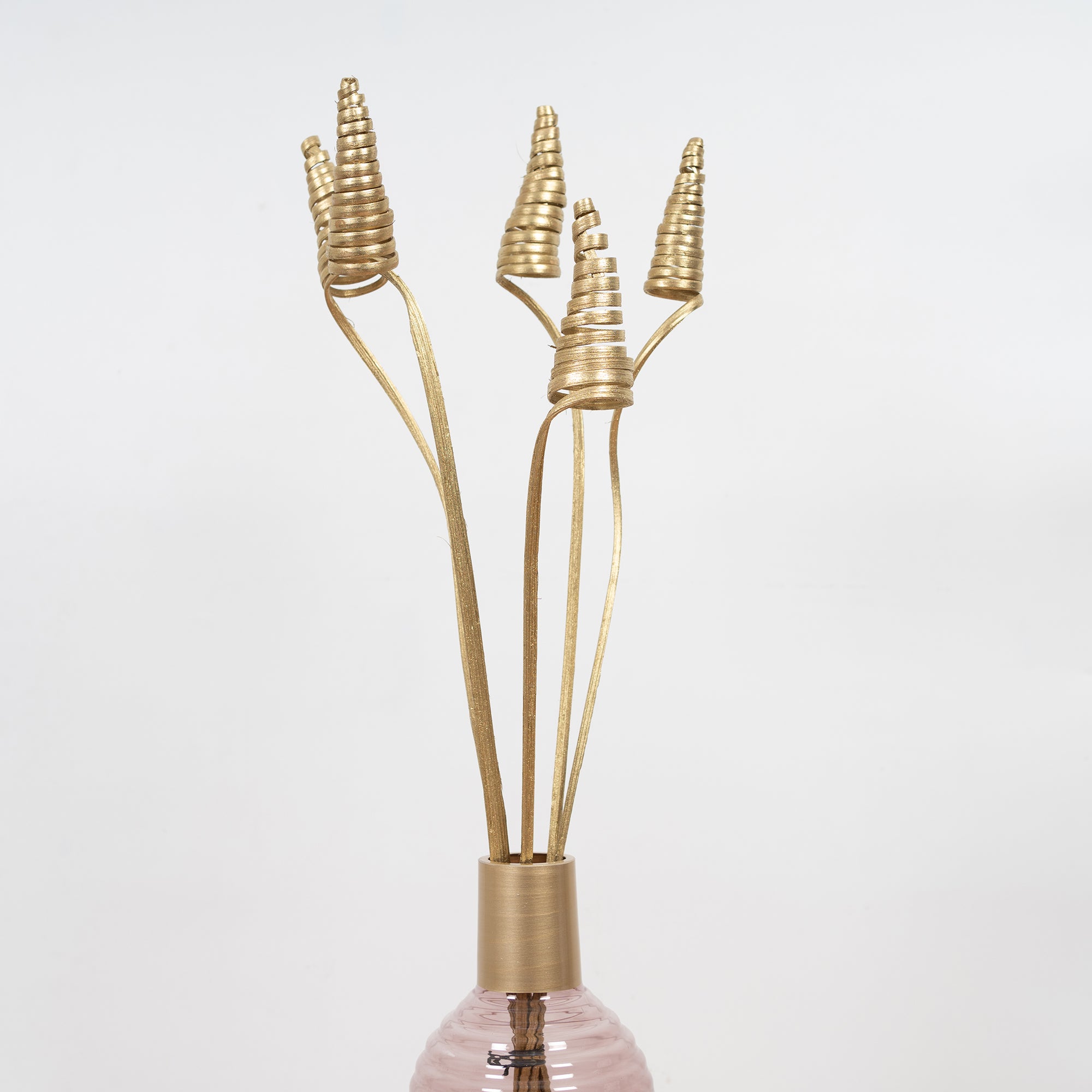 Fleur Dried Jumbo Cone Sticks 70Cm in Gold Colour