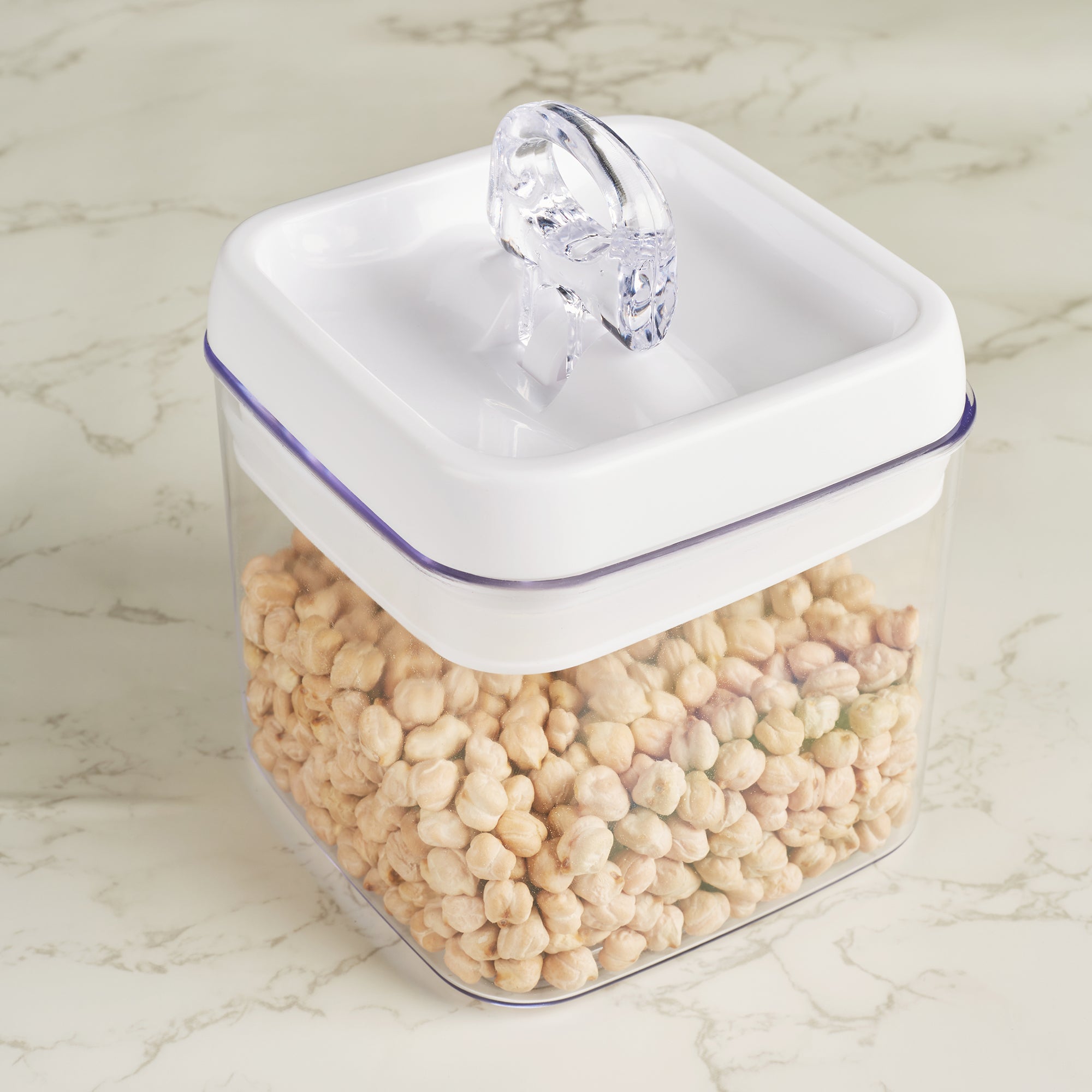 Robusto BPA Free Easy Lock Square Container 1000ml in Transparent & White Colour