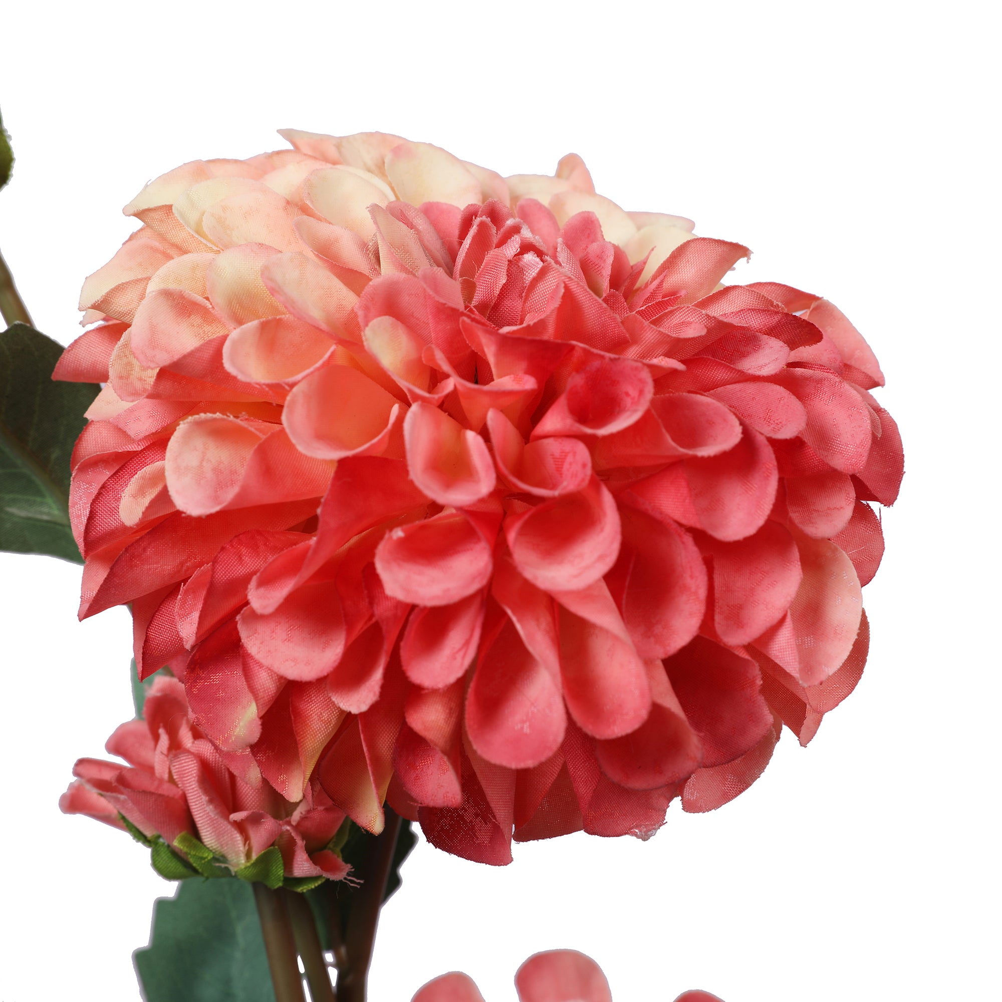 Blume Artificial Flower Dahlia Stem 78cm in Peach Colour By Living Essence