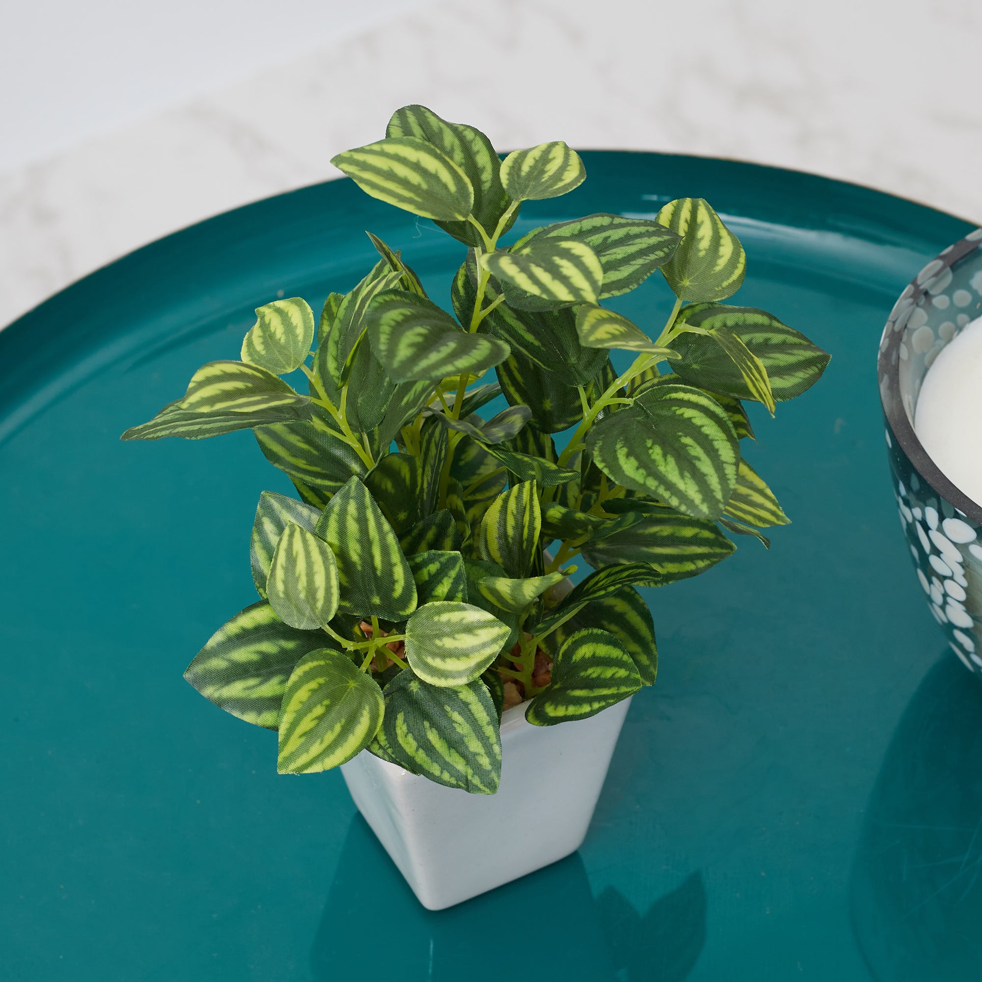 Ilana  Faux Peperomia Ceramic Potted Plant 19 Cm in Green Colour
