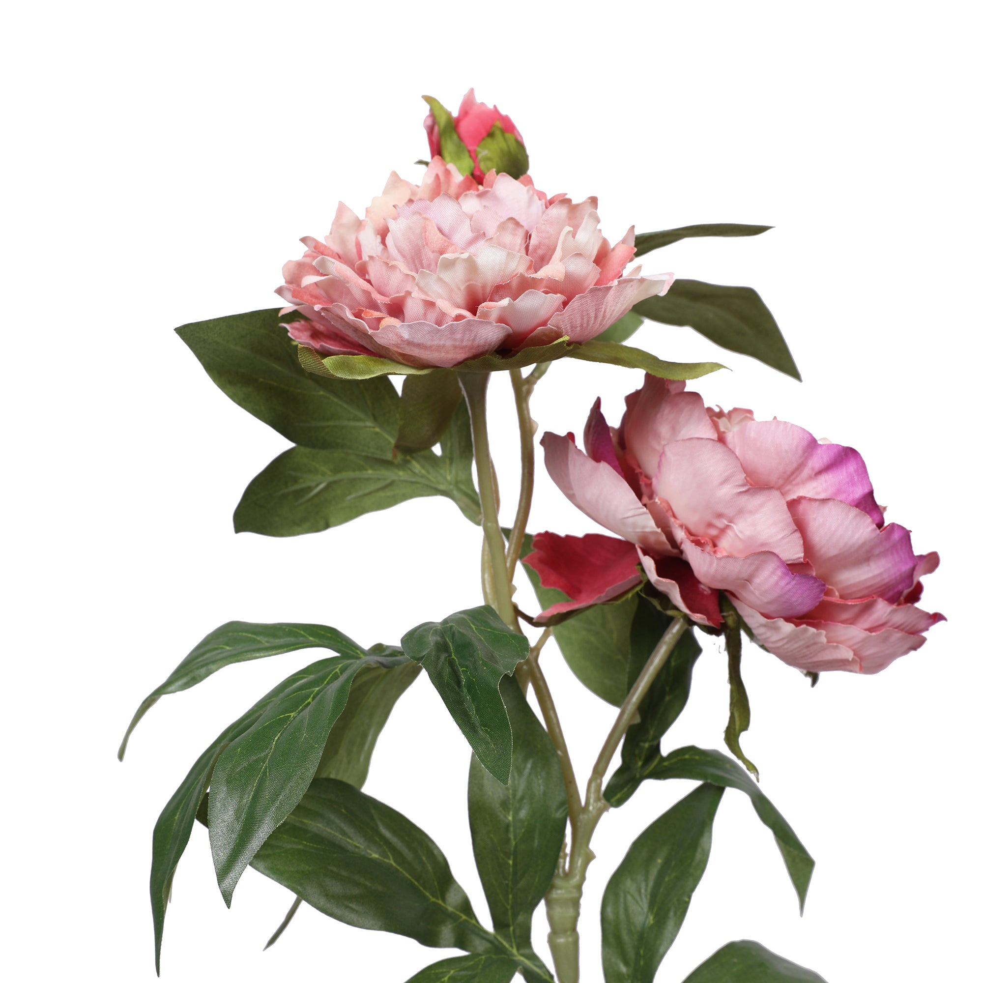 Blume Artificial Flower Peony Stem 74cm in Pink Colour By Living Essence