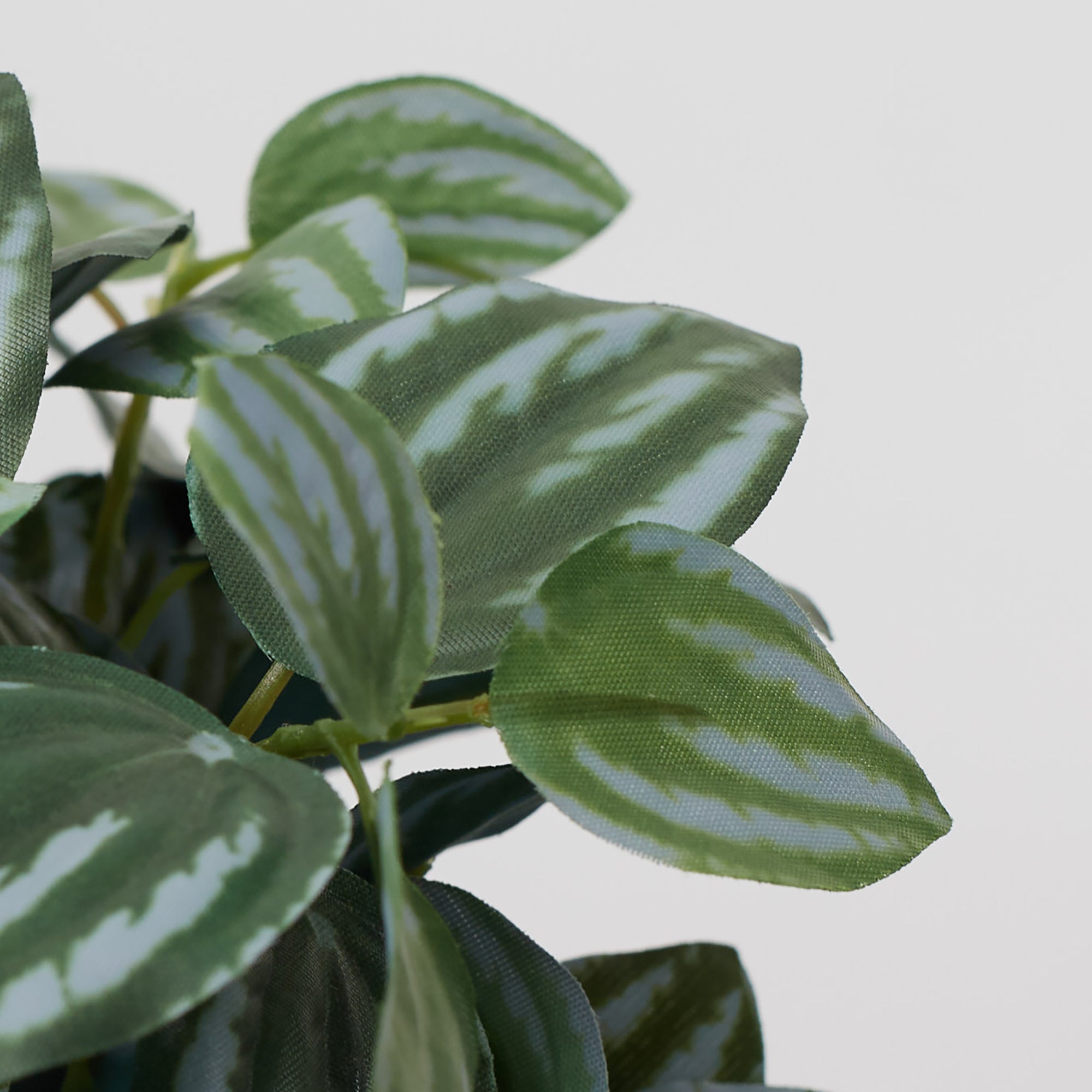 Ilana Faux Peperomia Ceramic Potted Plant 20 Cm in Green Colour