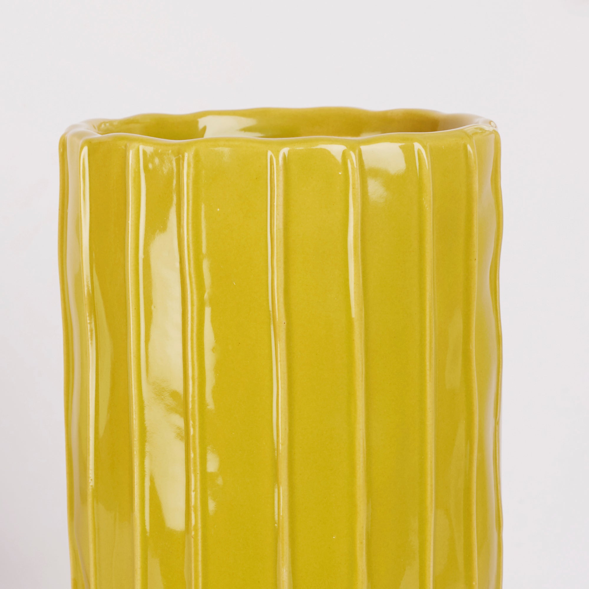 Alura Tropical Glossy Ceramic Planter 26Cm in Green Colour