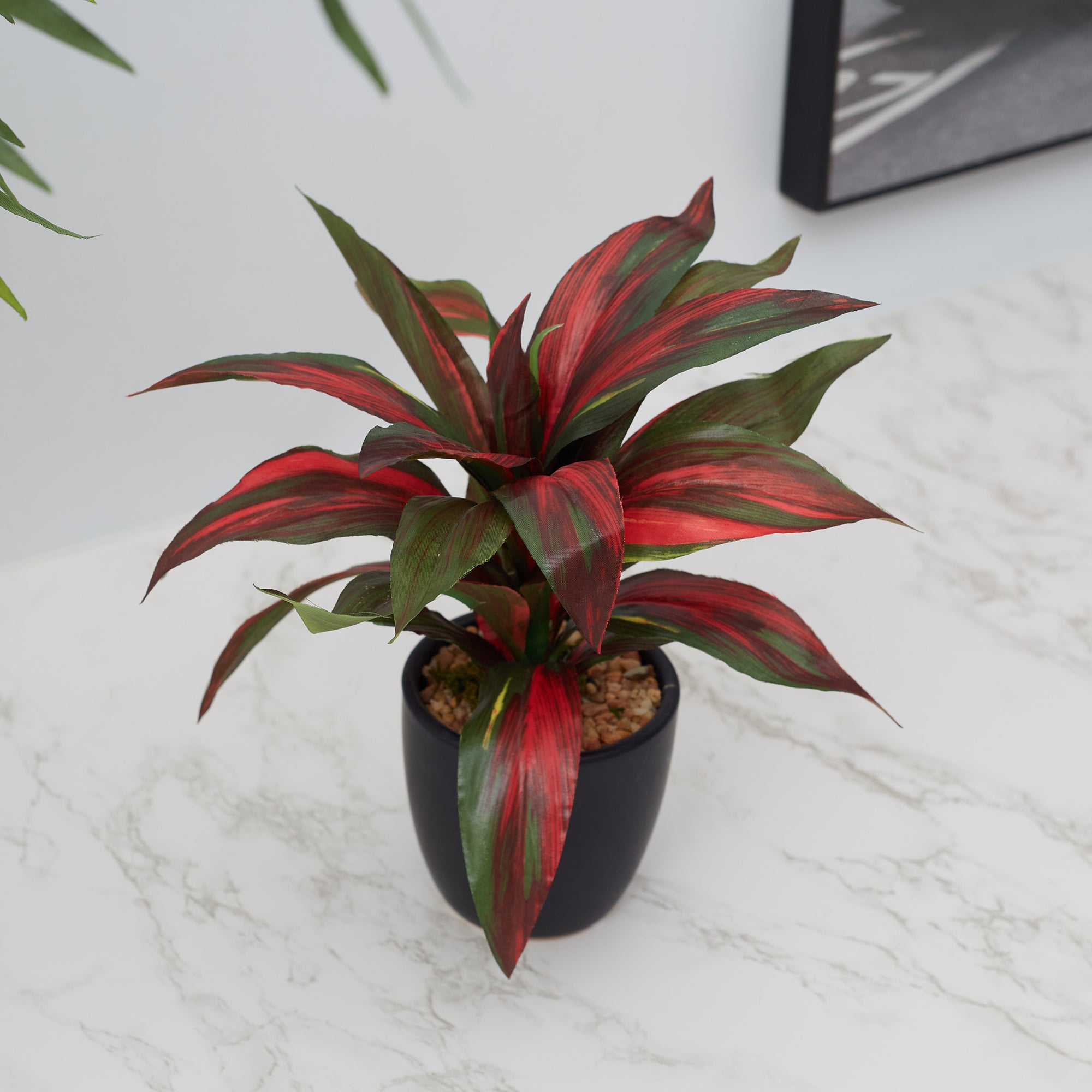 Ilana Faux Dracaena Ceramic Potted Plant 21 Cm in Green Colour
