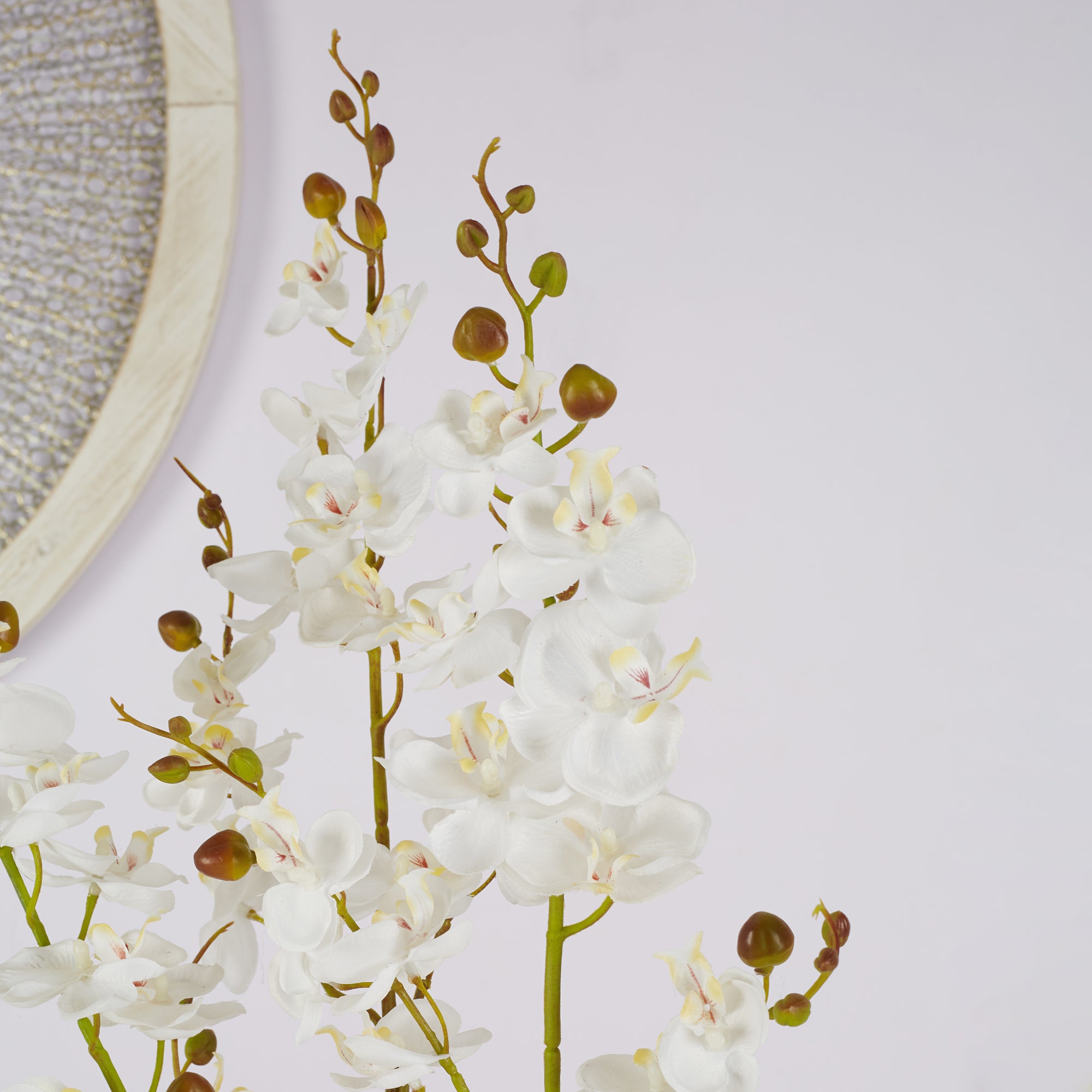 Ilana Artificial Orchid Potted Plant 60Cm in White Colour