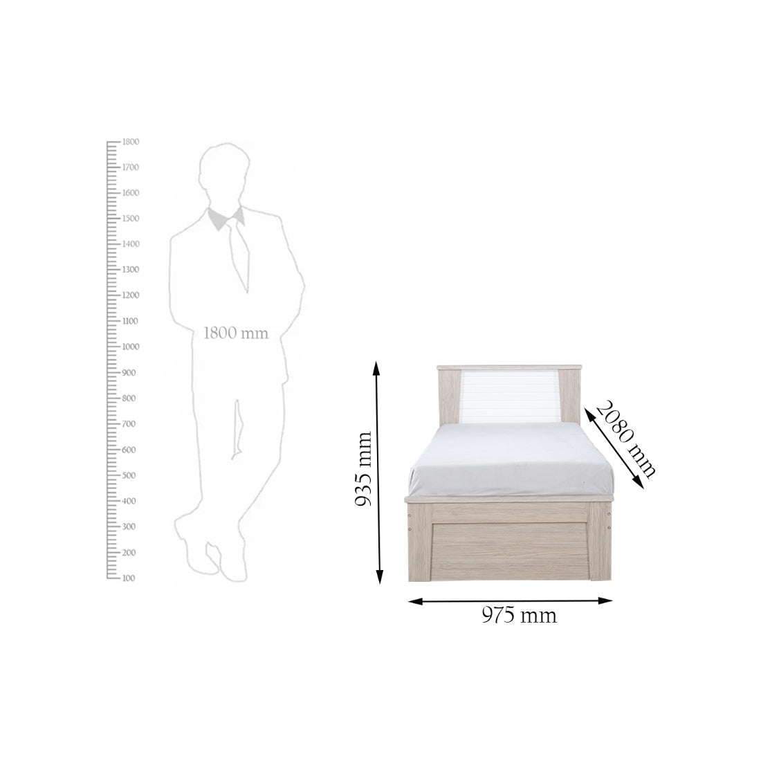 Ambra Single Bed without storage in Oak Colour