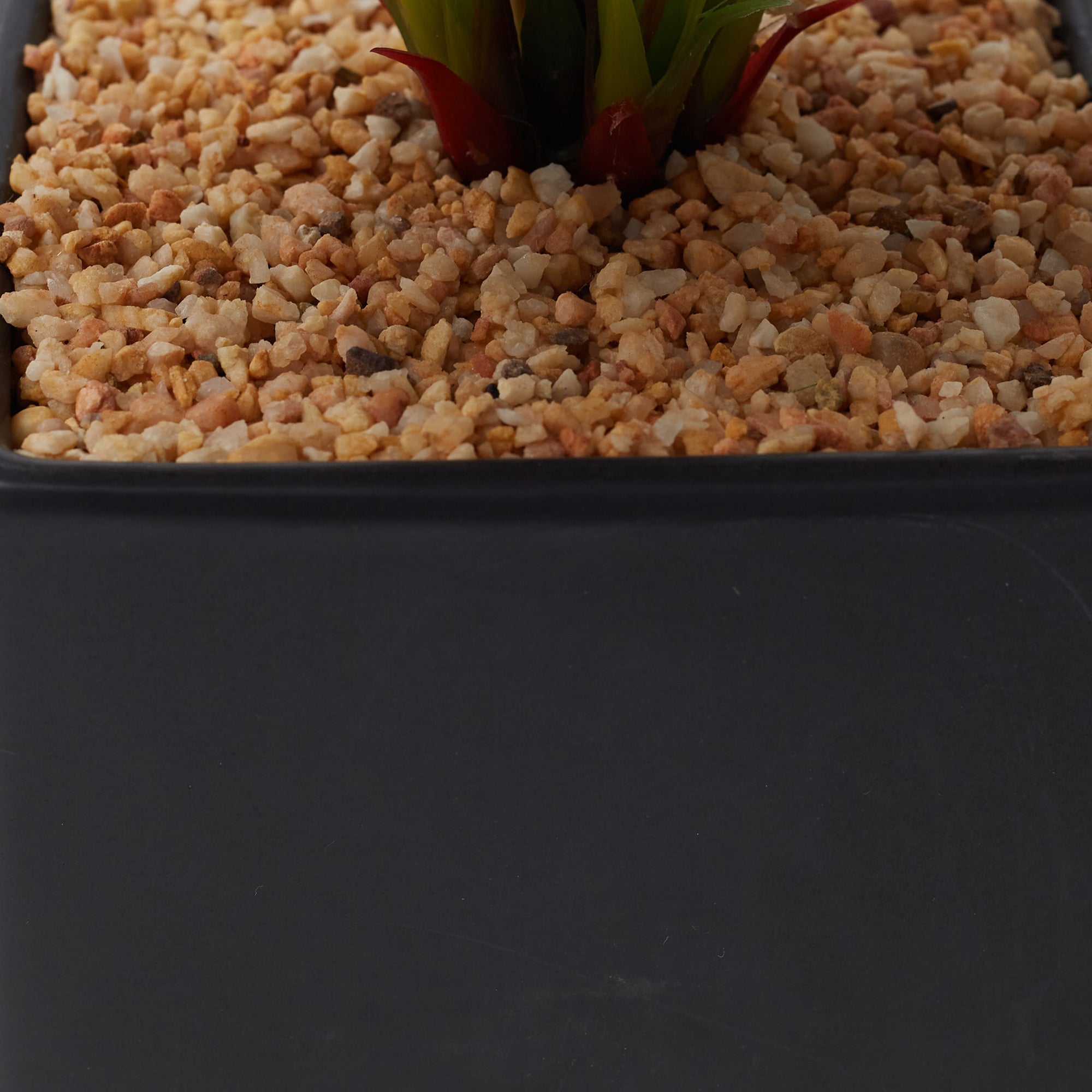 Ilana Faux Maranta Ceramic Potted Plant 45 Cm in Green Colour